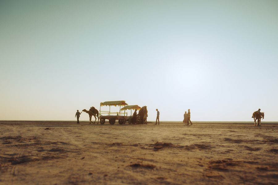 Mandvi Beach (Kutch) photo 7