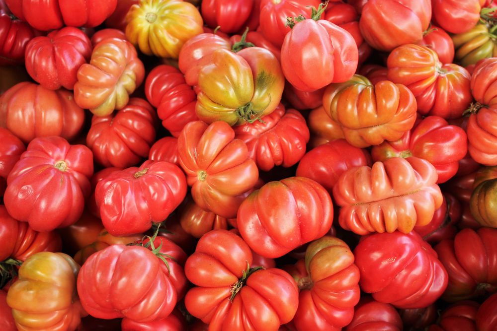 Heirloom Tomatoes
