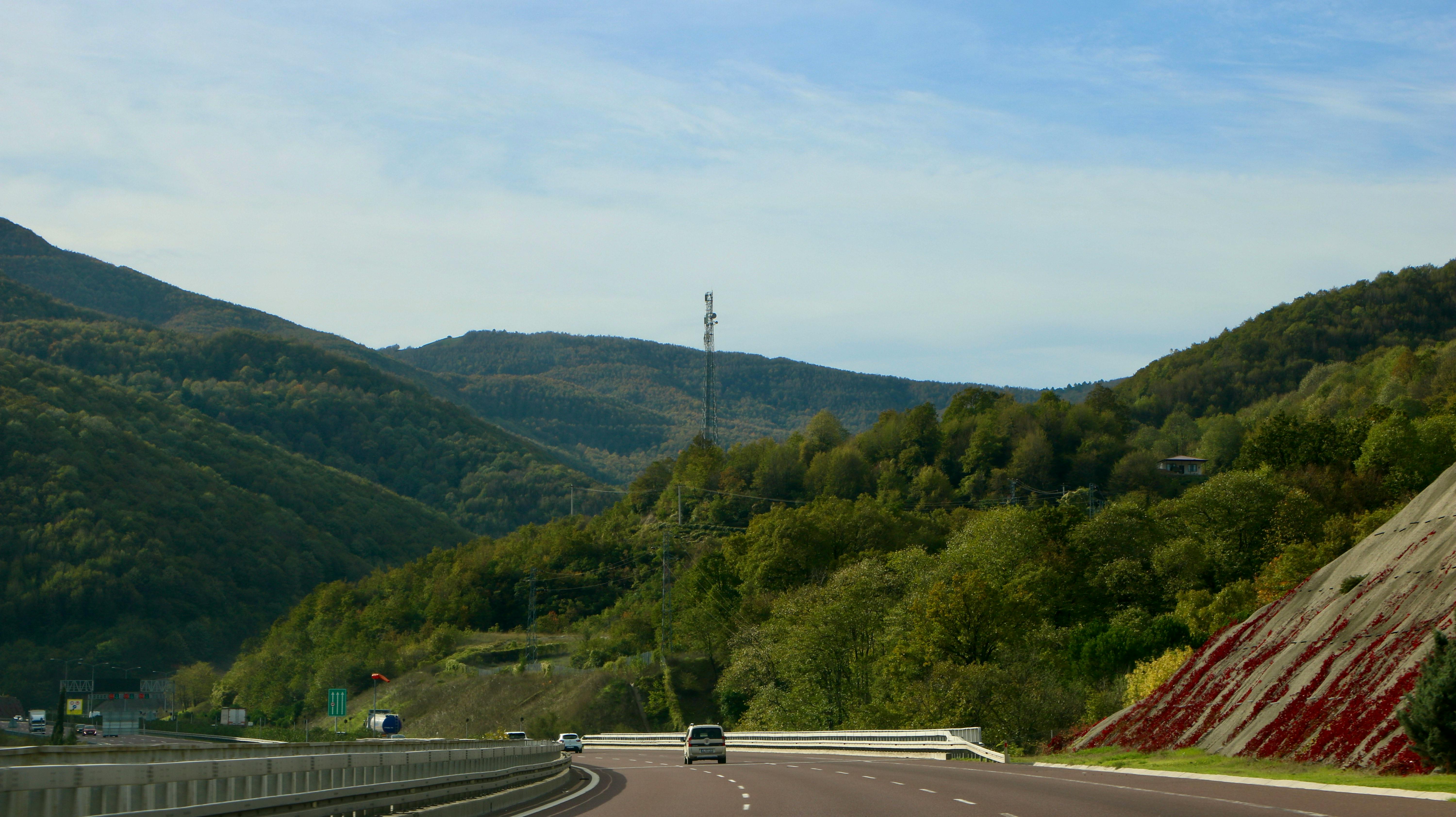 廢茶渣巧妙再利用，打造環保生活新風尚
