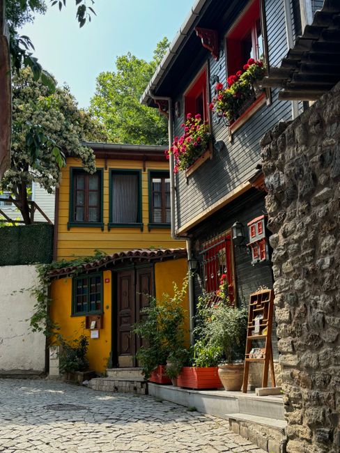 Colorful historic houses in a charming cobblestone alley, showcasing vibrant flowers and classic architecture.