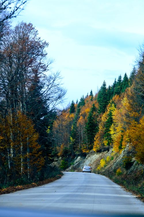 Free Car driving on an empty road through a vibrant autumn forest with colorful foliage. Stock Photo