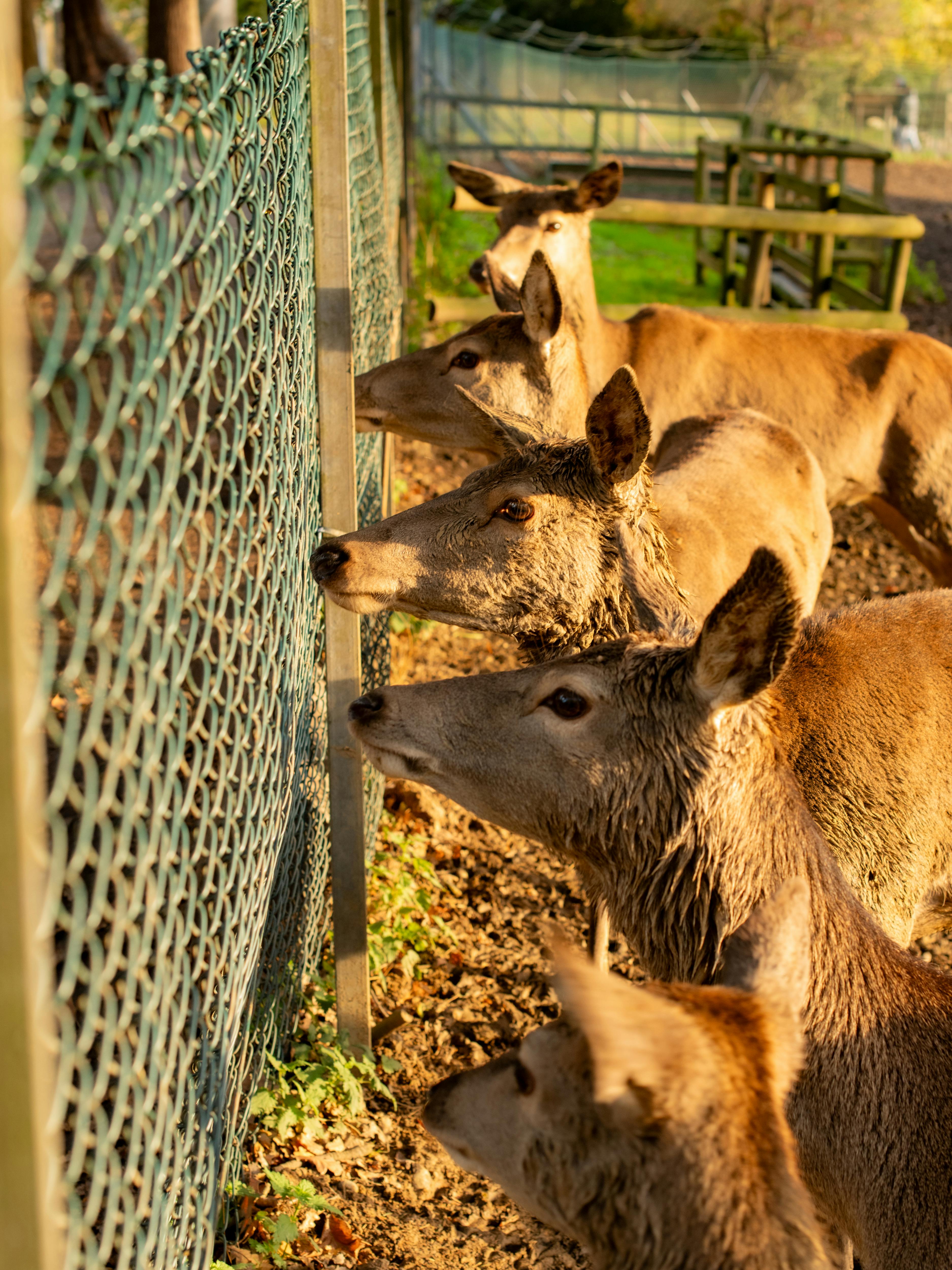 Linkbuilding für Anfänger: So starten Sie ohne Risiko durch!