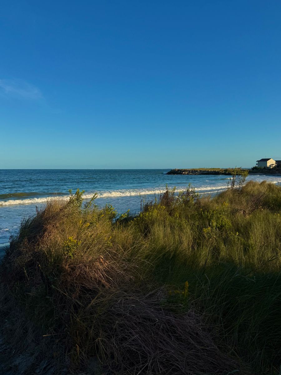 Grassy dunes and blue ocean along the coast