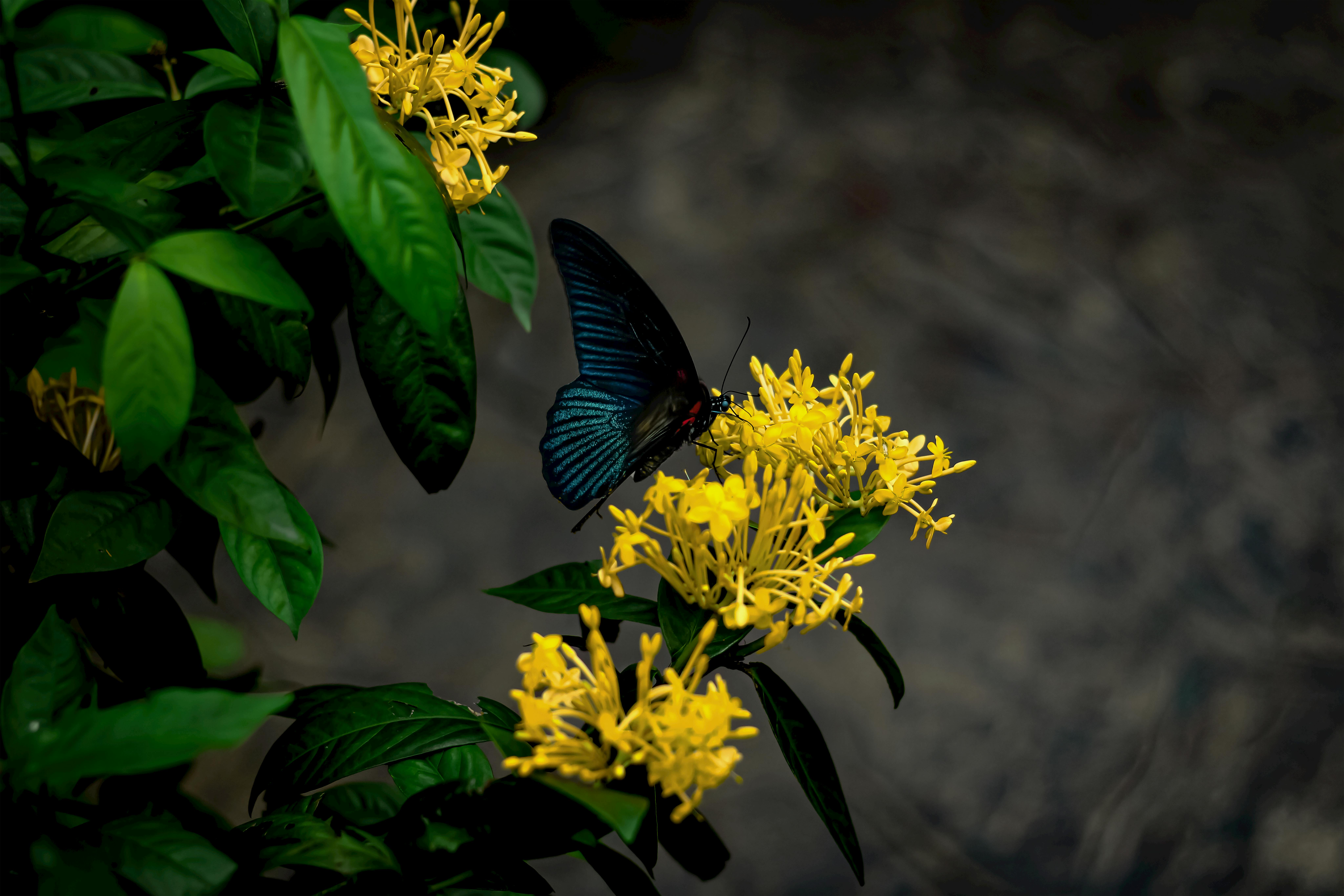 Top AI-Powered Startups to Watch in 2024