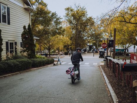A serene suburban scene featuring a cyclist on a tree-lined street with autumn foliage.
