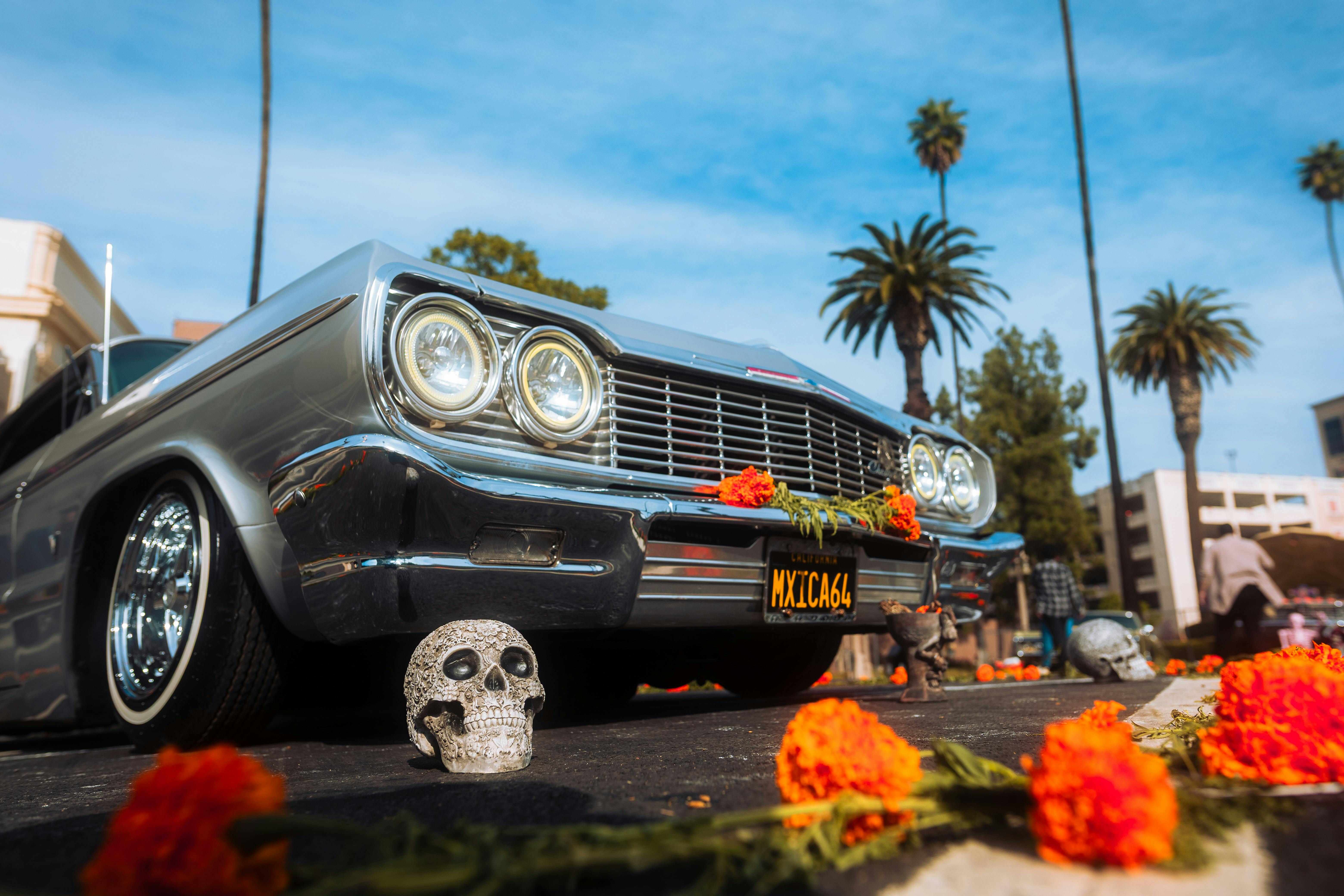 花蓮攜手國際 舉辦2026世界俱樂部龍舟錦標賽簽約暨執委會揭牌