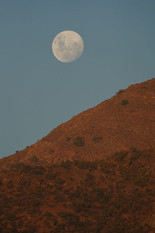 Free A tranquil scene showing a full moon rising over a rugged hillside at twilight. Stock Photo