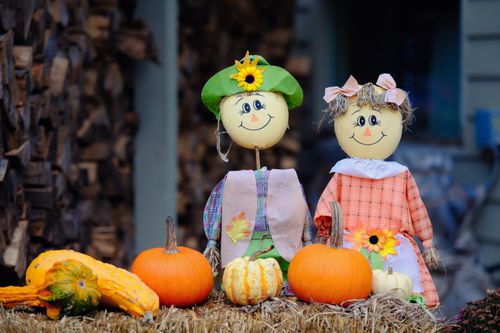 Free Delightful fall scene featuring scarecrow couple with pumpkins, gourds, and autumn decorations. Stock Photo