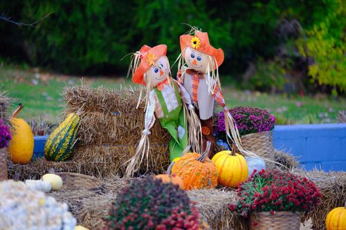 Free Charming autumn scene with scarecrows, pumpkins, and vibrant fall foliage, perfect for seasonal decoration. Stock Photo