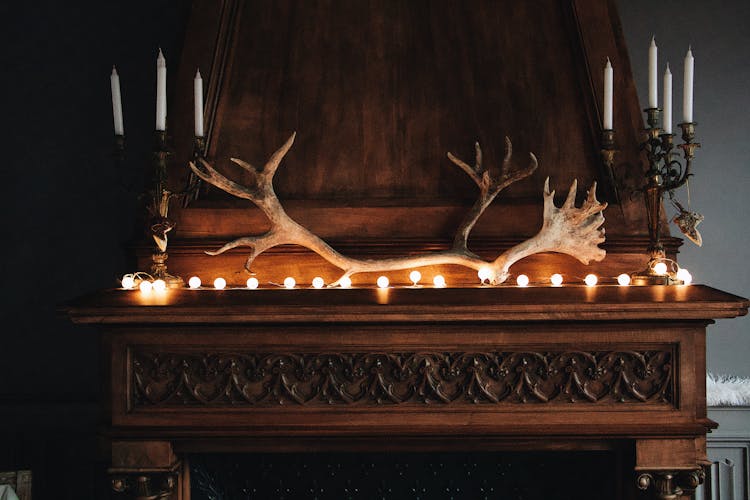 Brown Wooden Furniture With String Of Lights And Animal Horn