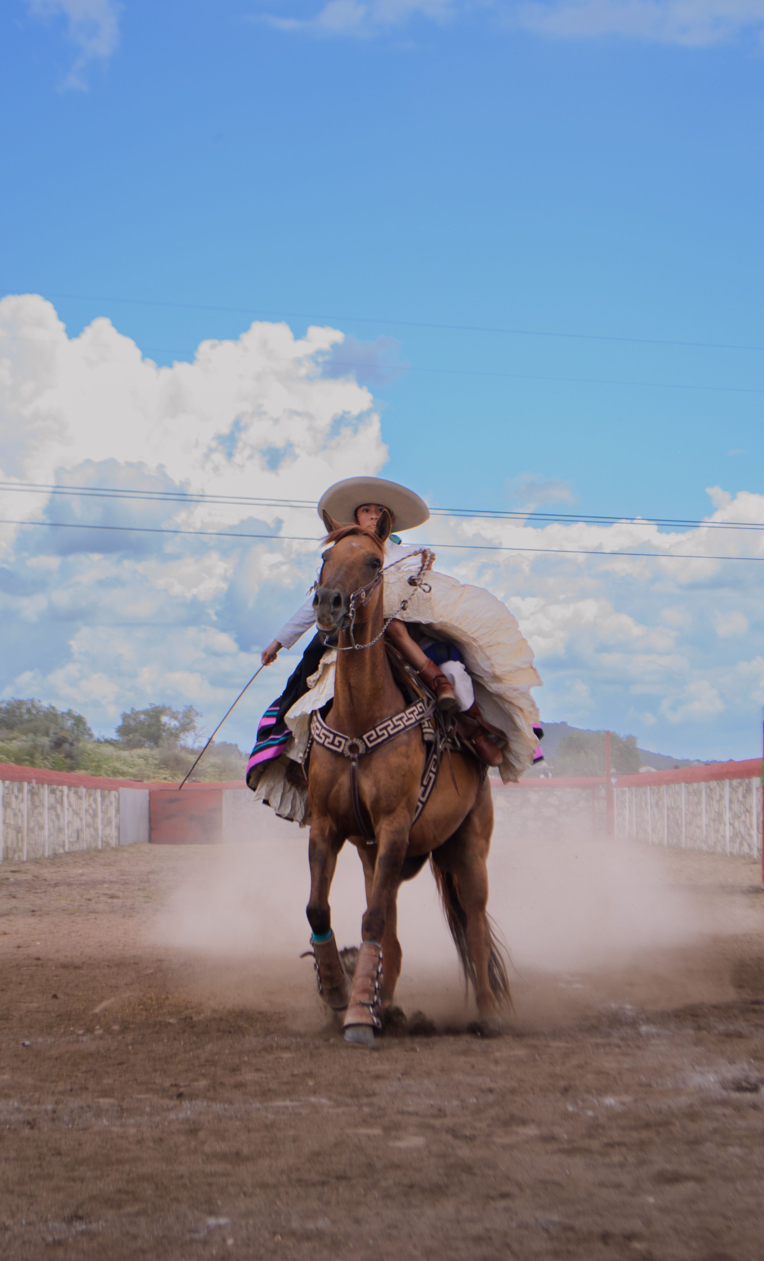 Charro Horse Riding under Blue Sky · Free Stock Photo