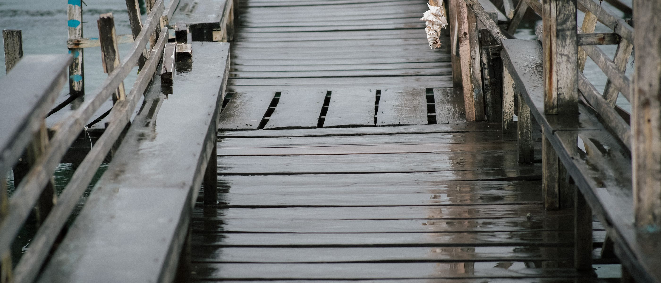 Fence and Decking Painting in South Woodford — the finished result after a professional repaint