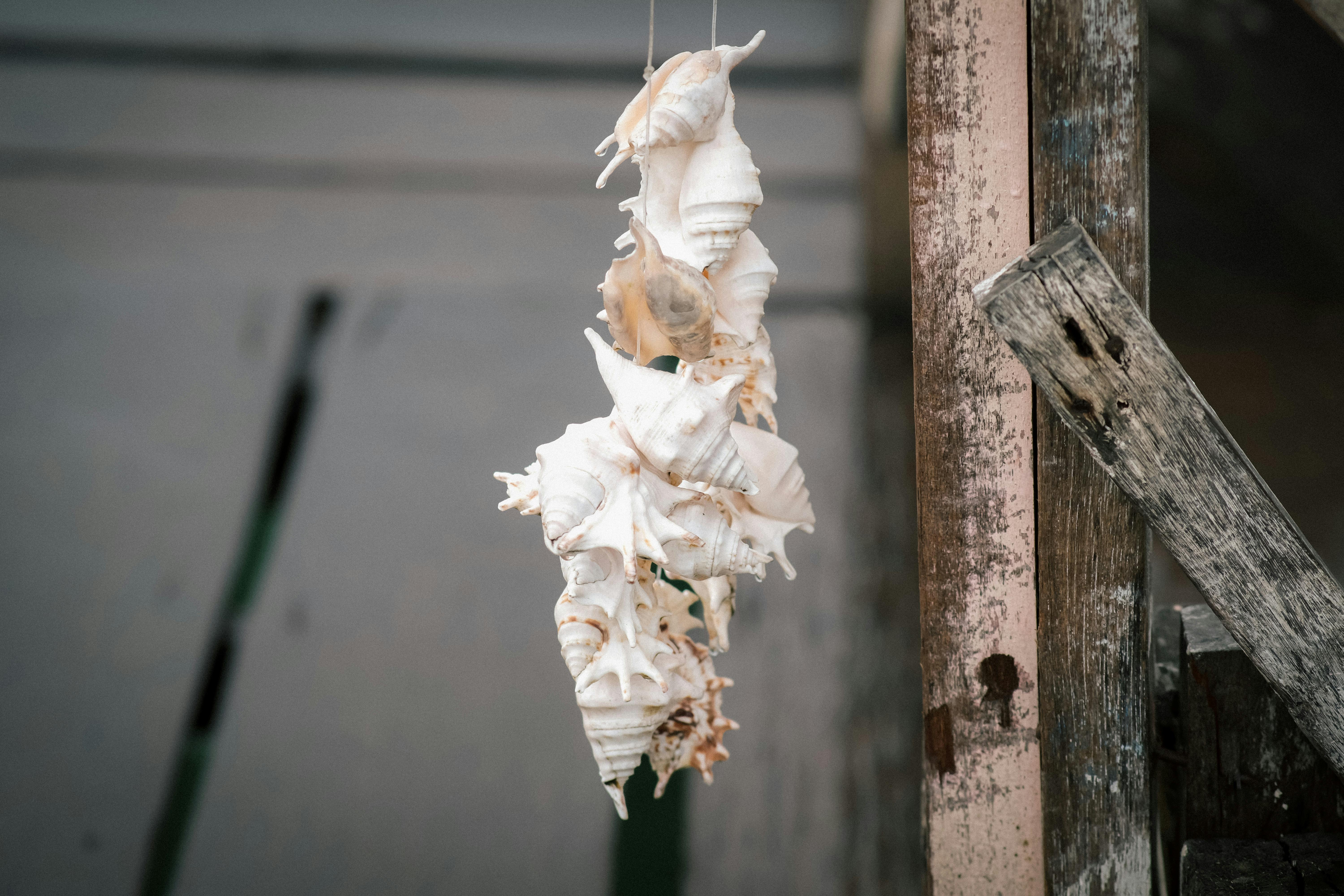 雲林國際偶戲節勇奪12座國際設計大獎，展現台灣文化創意力