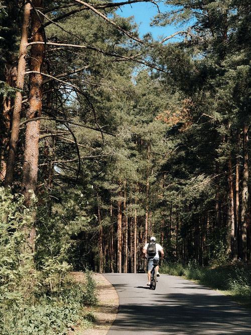 Free A cyclist enjoys a peaceful ride along a sunlit forest road surrounded by tall trees. Stock Photo