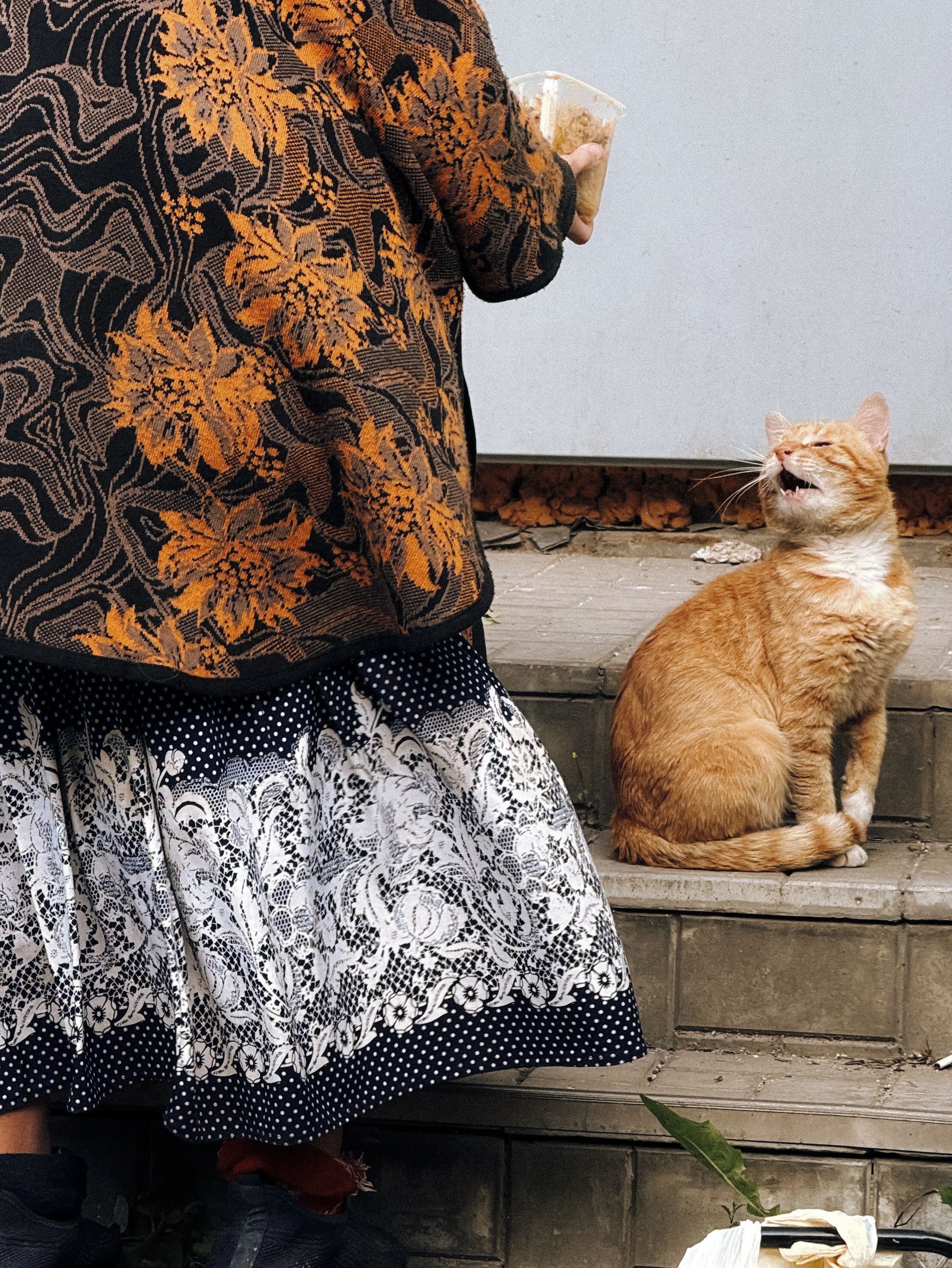 Elderly woman feeding a ginger cat on steps. Cozy and warm scene.