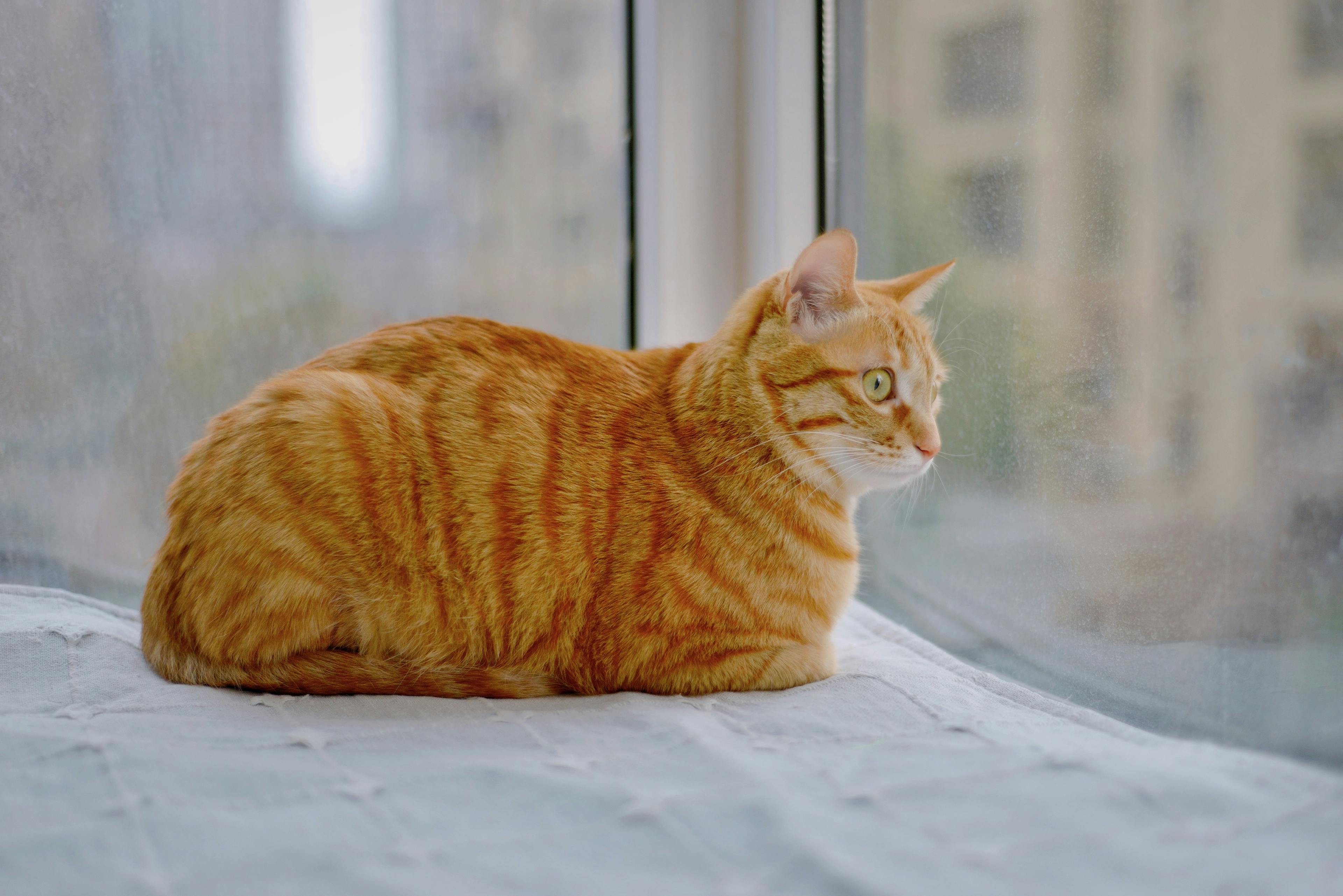 獨家揭露桃園可負擔住宅坪數與戶數規劃 都發局打造15分鐘生活圈