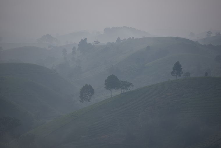 Rolling green hills under morning mist — photo by Ama Journey on Pexels