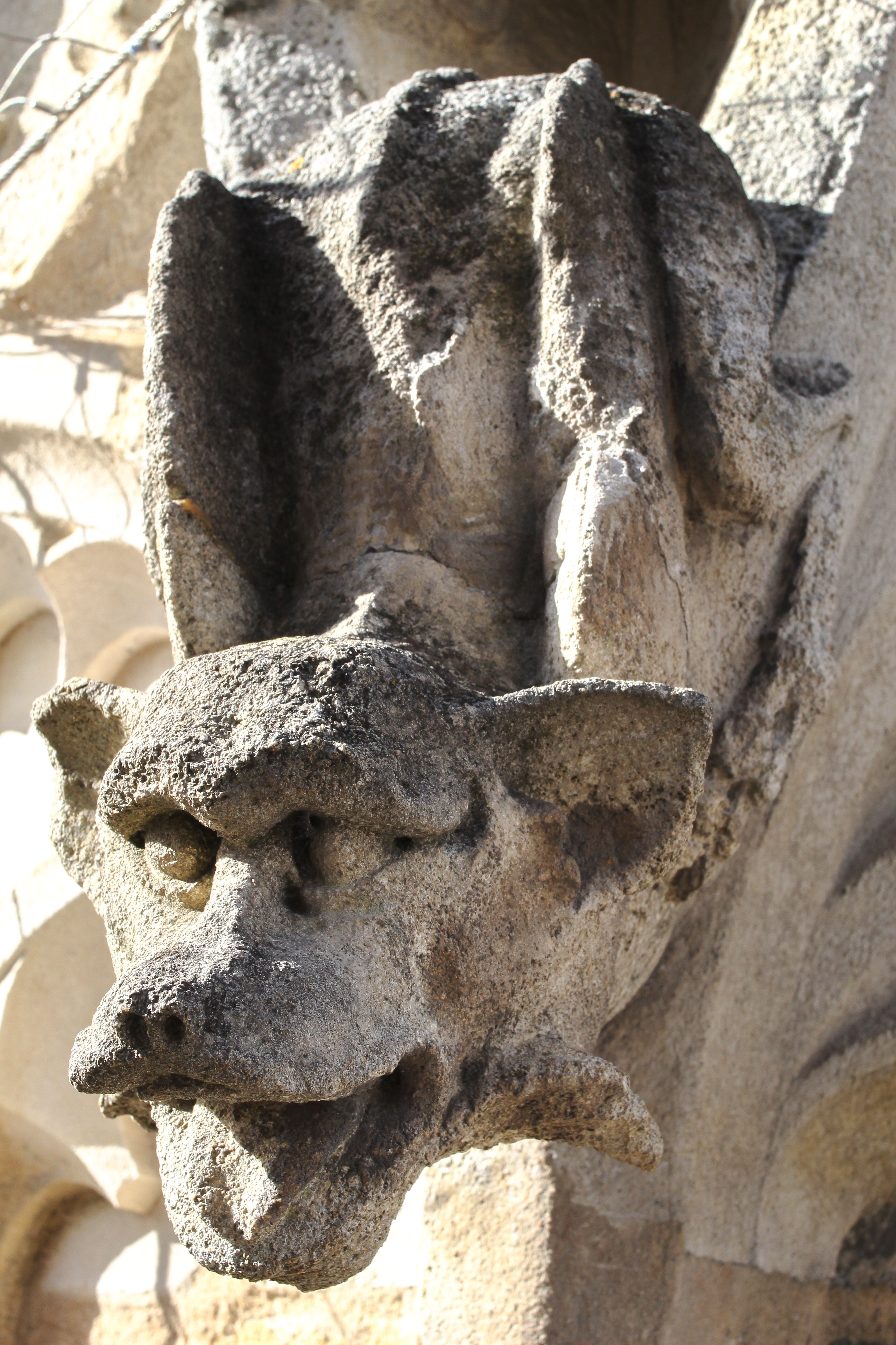 Stone Gargoyle Ornament on Historic Building · Free Stock Photo