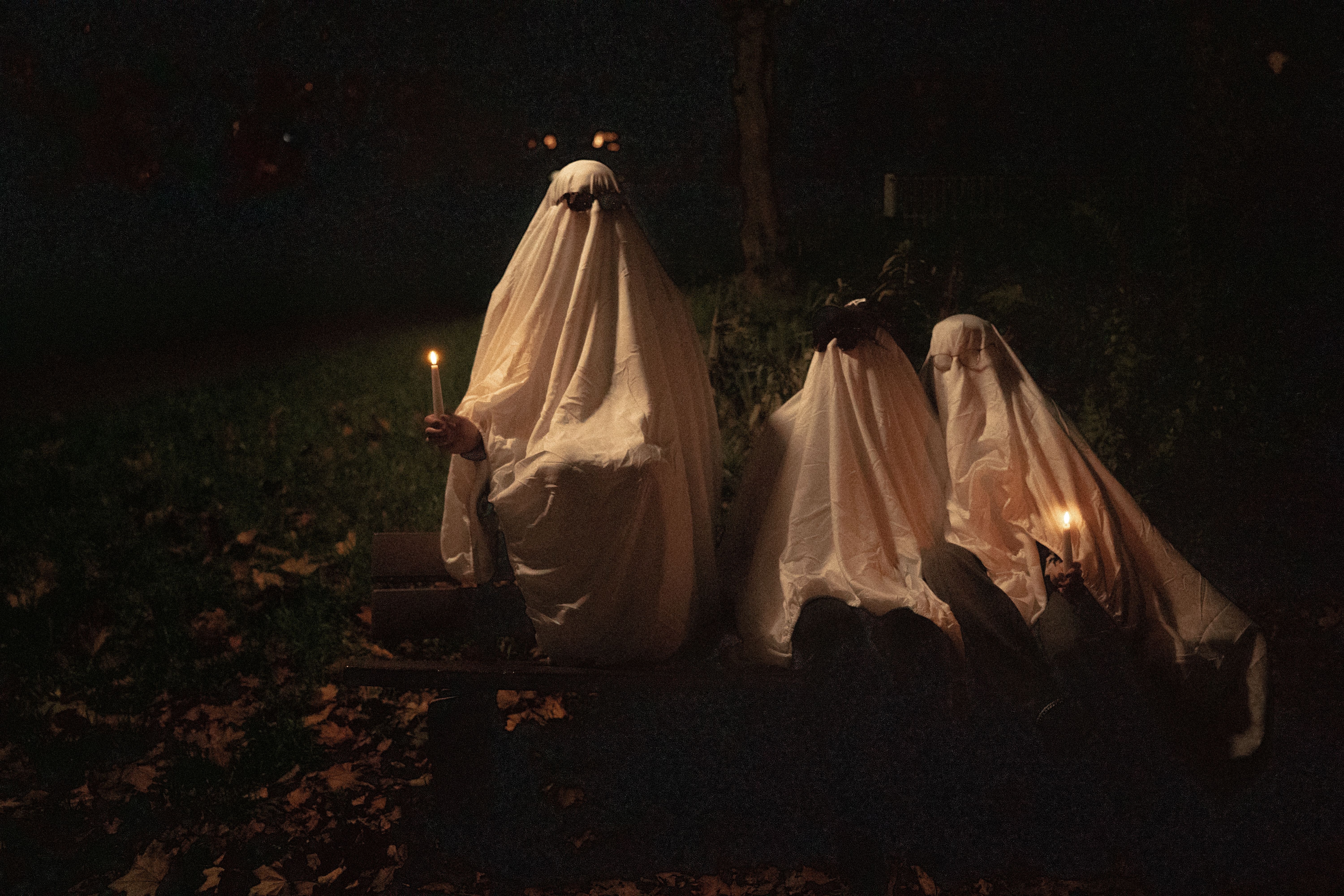 Spooky Bench Photos, Download The BEST Free Spooky Bench Stock Photos ...