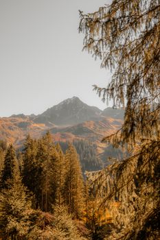 Serene mountain view with autumn foliage and evergreen trees under a clear sky.
