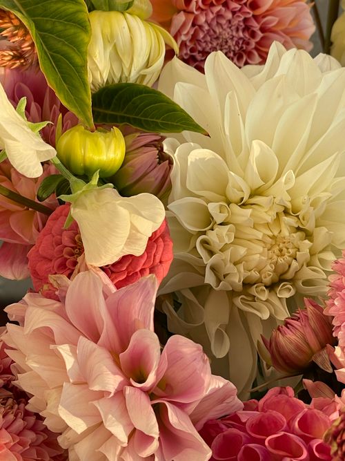Free A close-up of a vibrant floral arrangement featuring dahlias and roses in vivid colors. Stock Photo