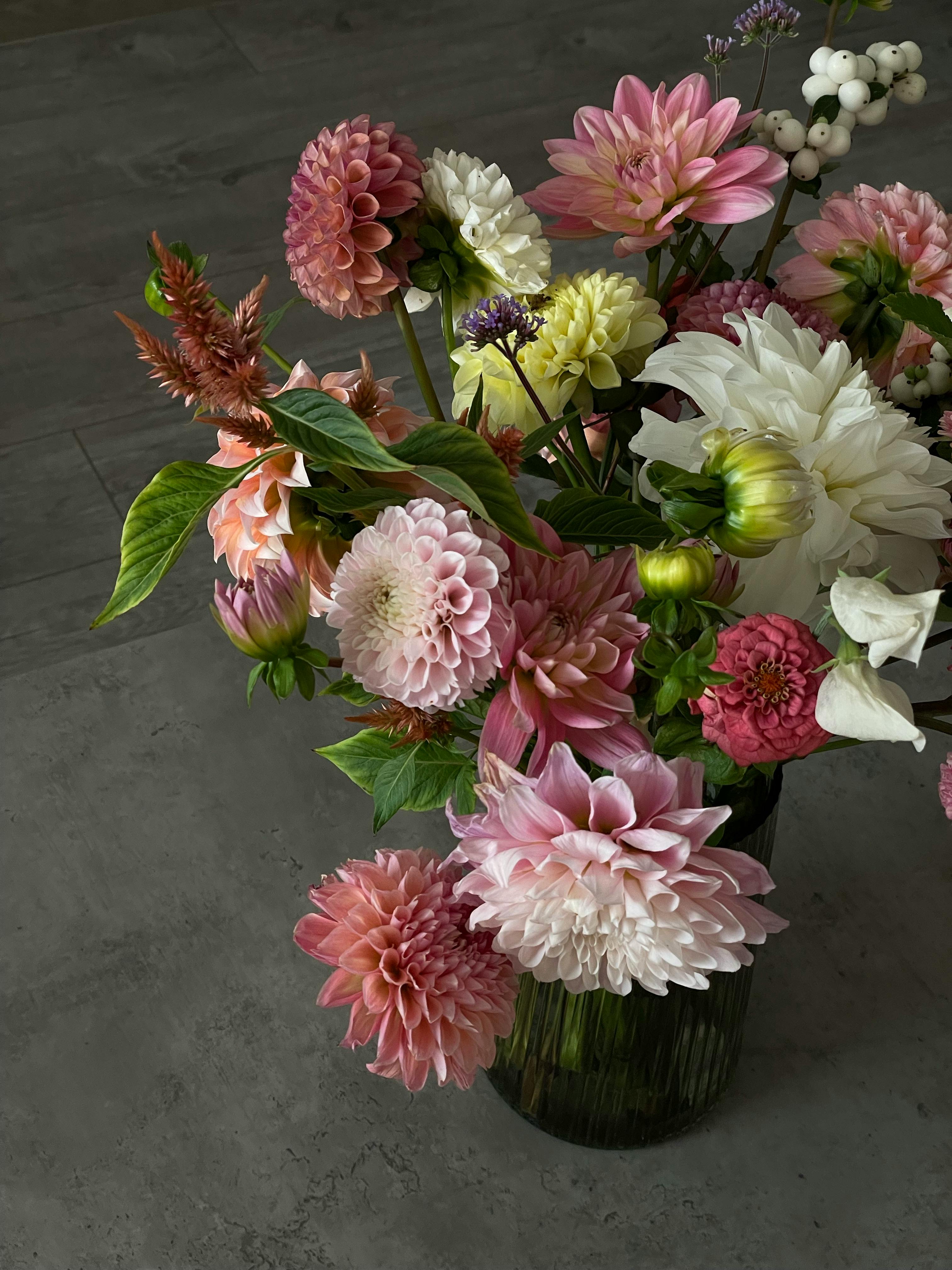 Colorful dahlia bouquet in vase showcasing pink, white, and green blooms on a gray surface.