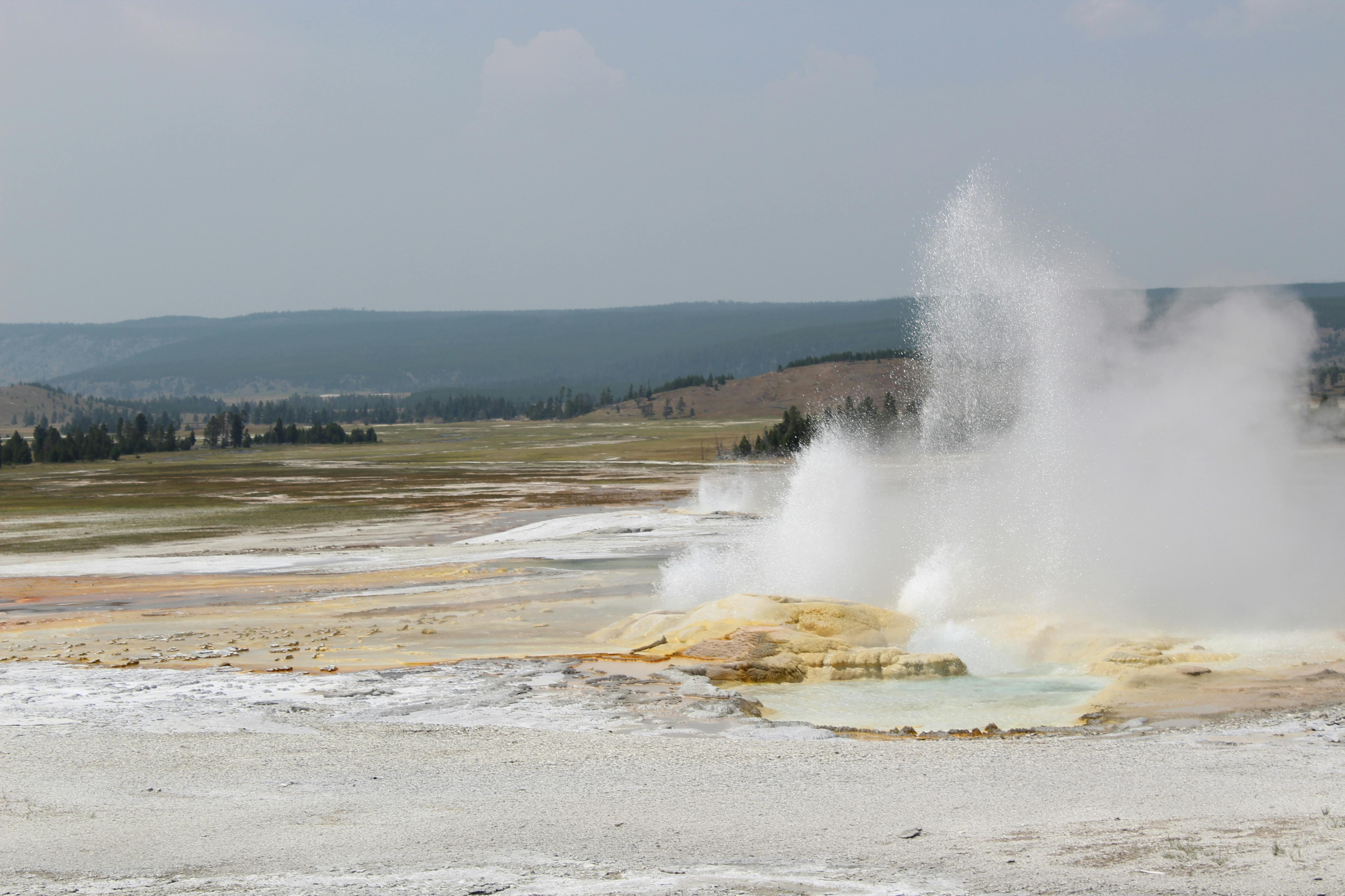 Yellowstone Acidic Geyser Eruption 2026: Echinus Reactivates