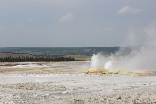 Free Captivating geyser eruption amidst the stunning landscape of Yellowstone National Park. Stock Photo