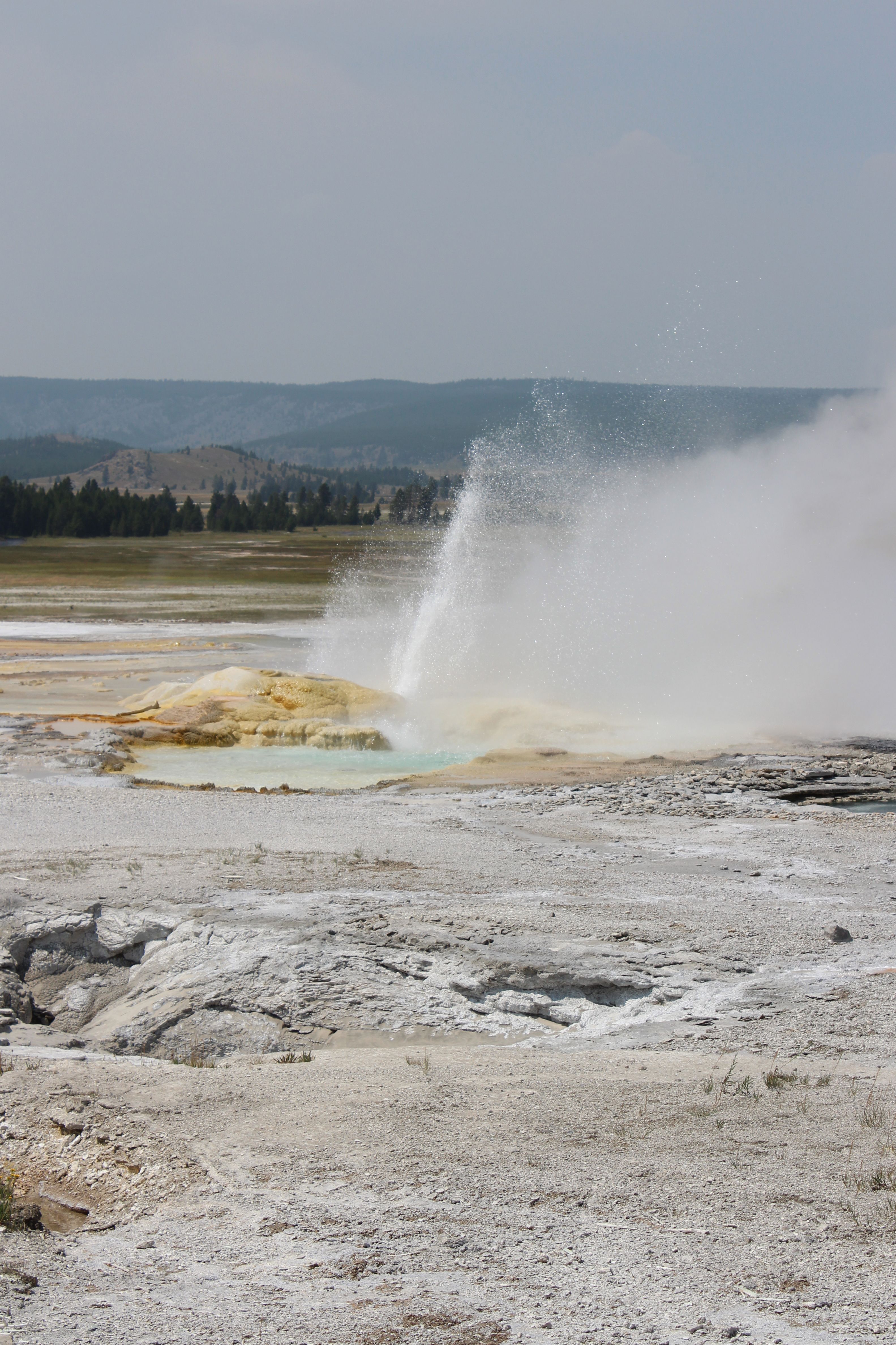 Geyser Eruption in Yellowstone National Park · Free Stock Photo