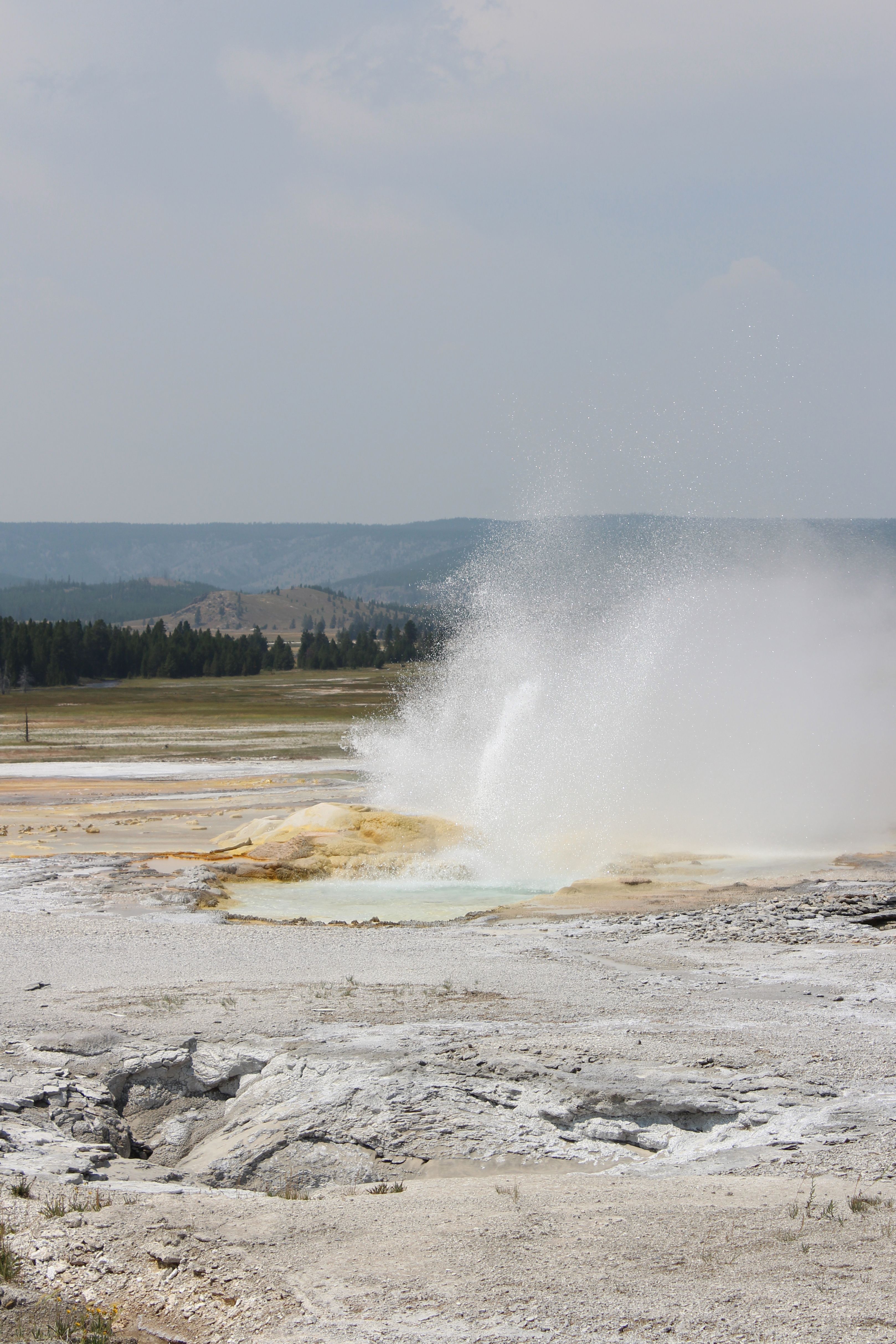 Pohutu Geyser