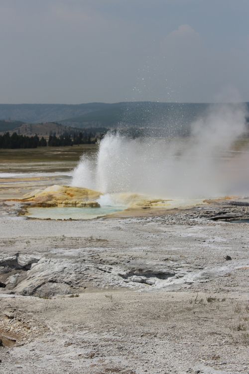 Free Dramatic geyser eruption in Yellowstone National Park, showcasing geothermal activity. Stock Photo