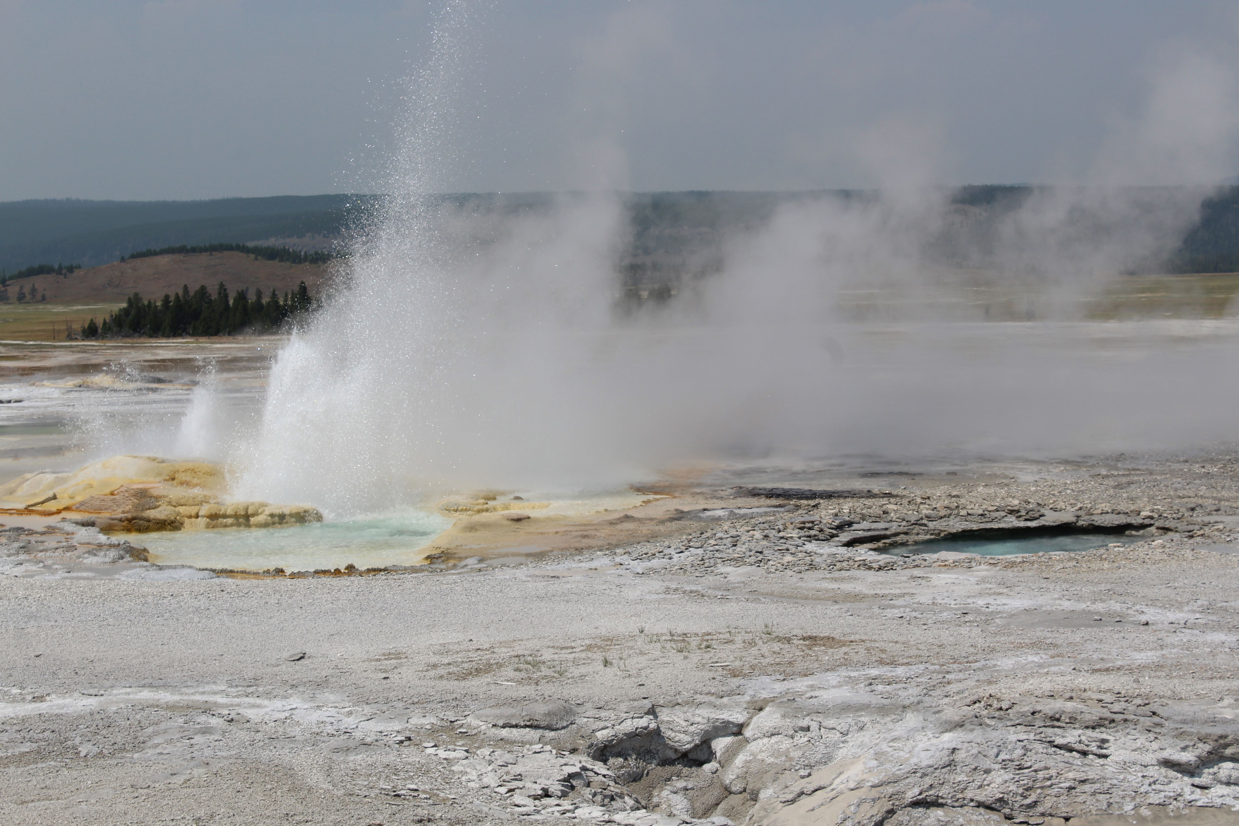 Erupting geyser in Yellowstone National Park captures natural geothermal activity.