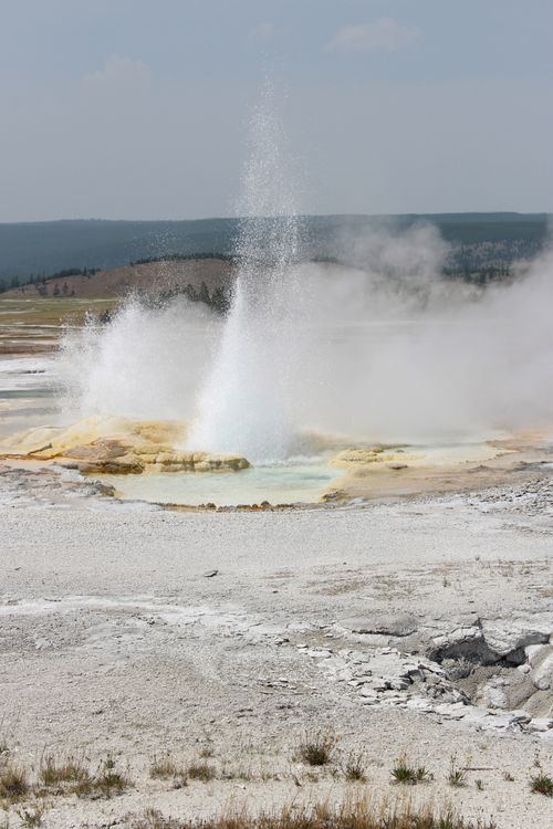 Free Captivating geyser eruption in Yellowstone with vibrant colors and steam under a clear sky. Stock Photo