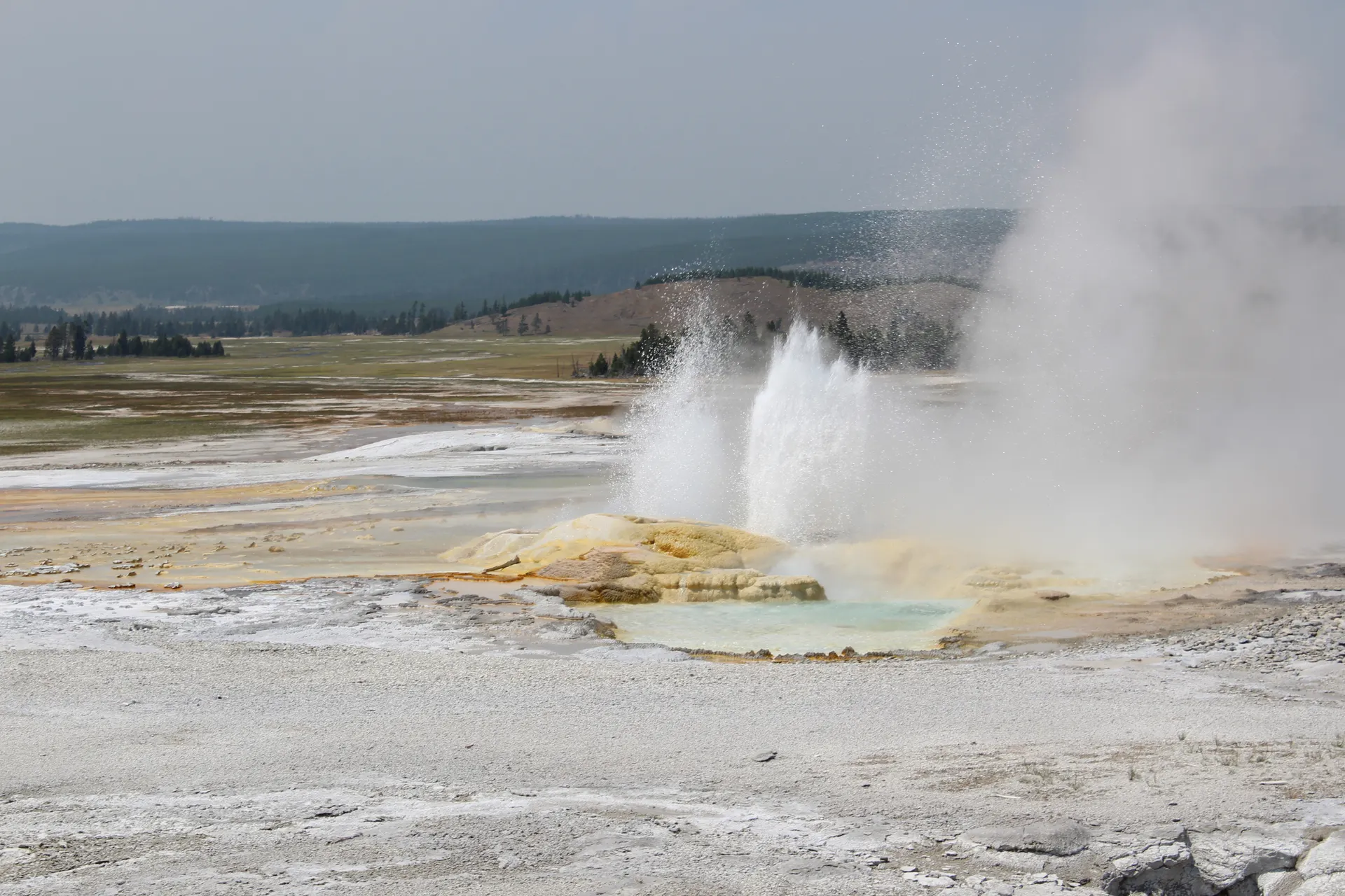 A road curving through geyser basin steam in Yellowstone National Park A road curving through geyser basin steam in Yellowstone National Park