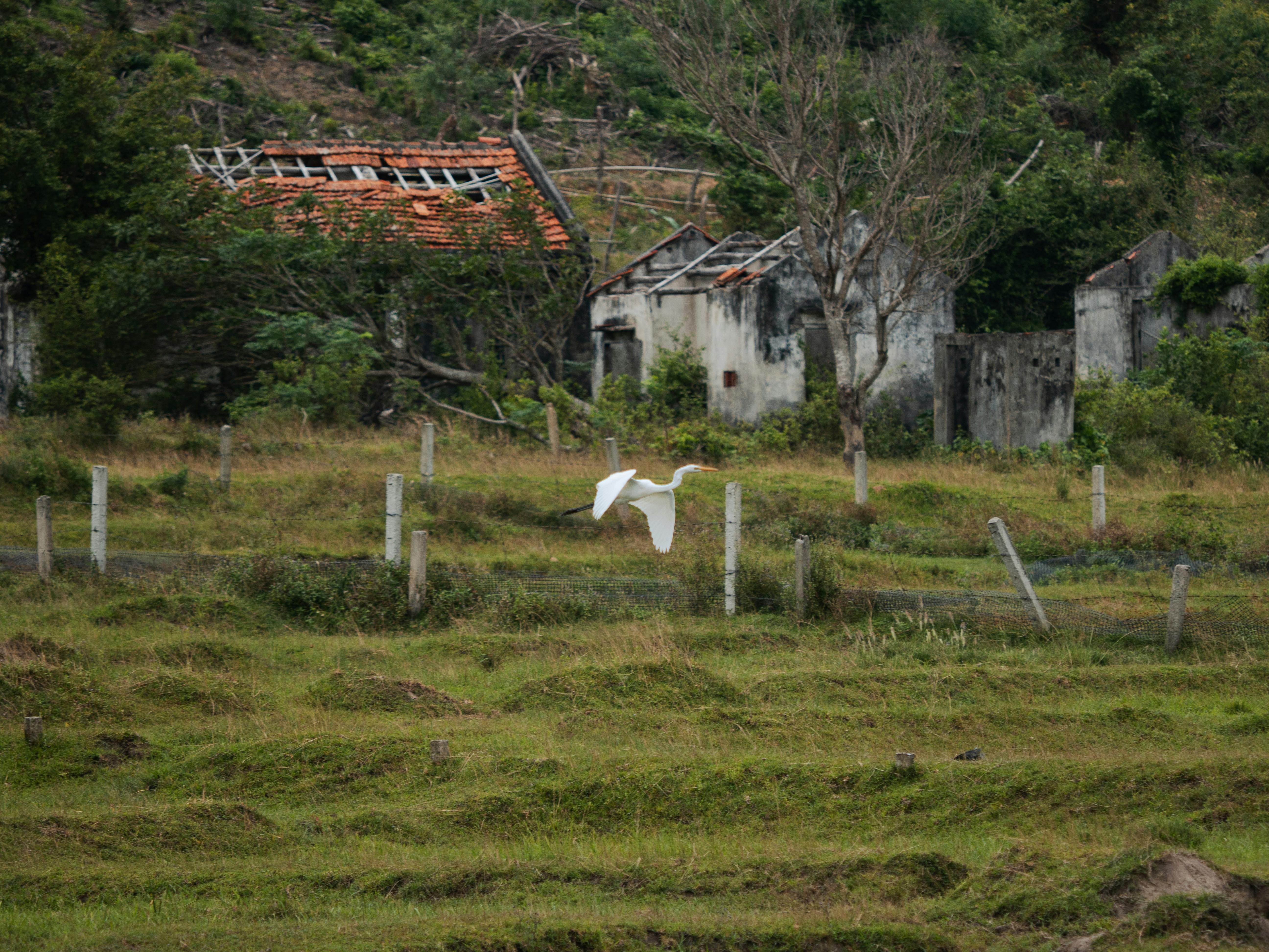 生活：展現臺東農村風貌 「慢村臺東。山海日常」活動正式啟動