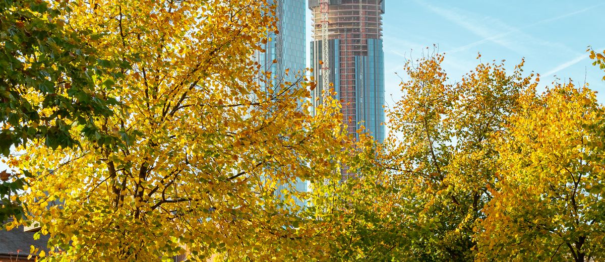 Castlefield, en Mánchester, en otoño