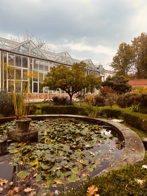 Free Tranquil greenhouse scene with a lush garden and lily pond, perfect for nature and architecture inspiration. Stock Photo