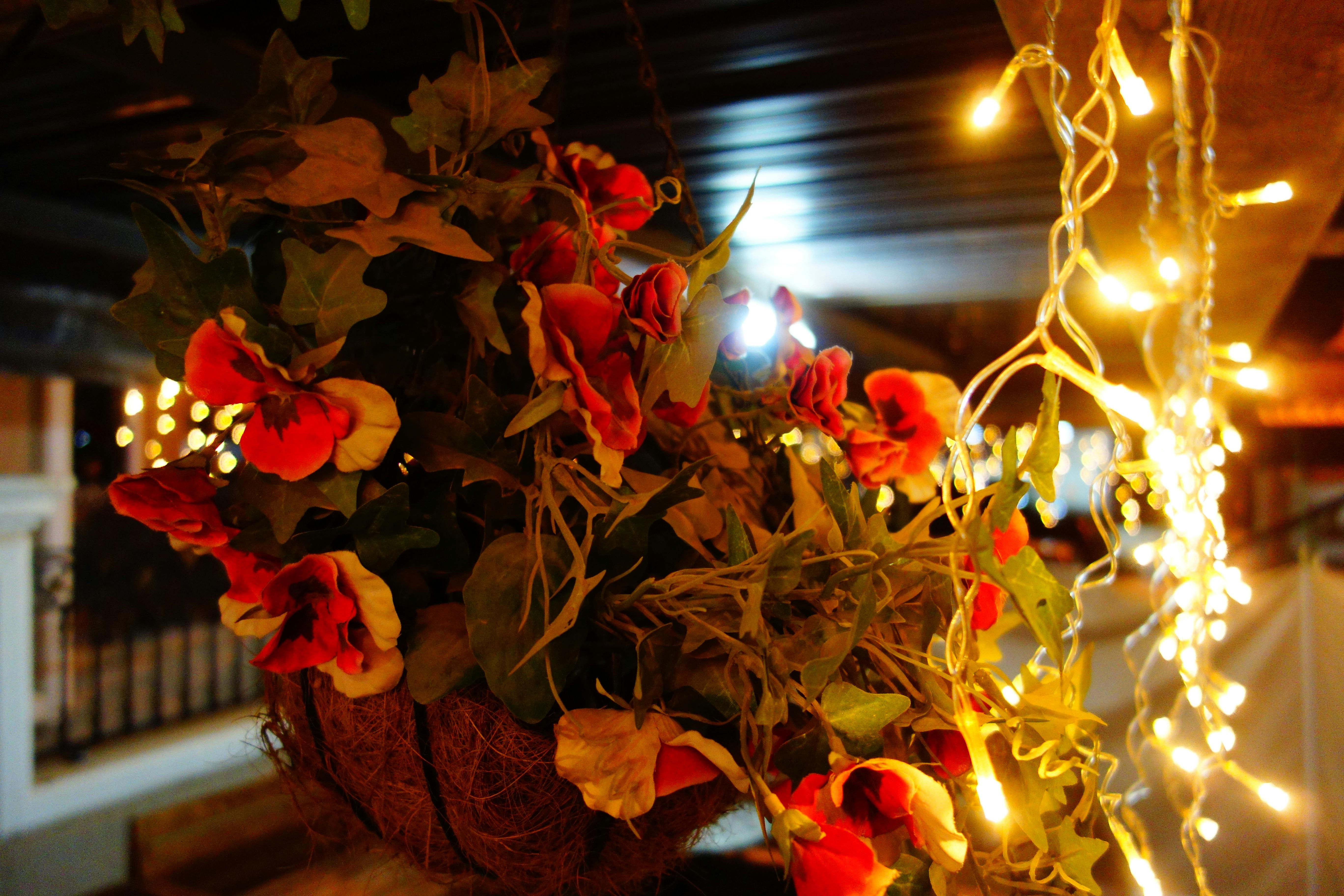 Free stock photo of artificial flowers, beautiful flowers, box