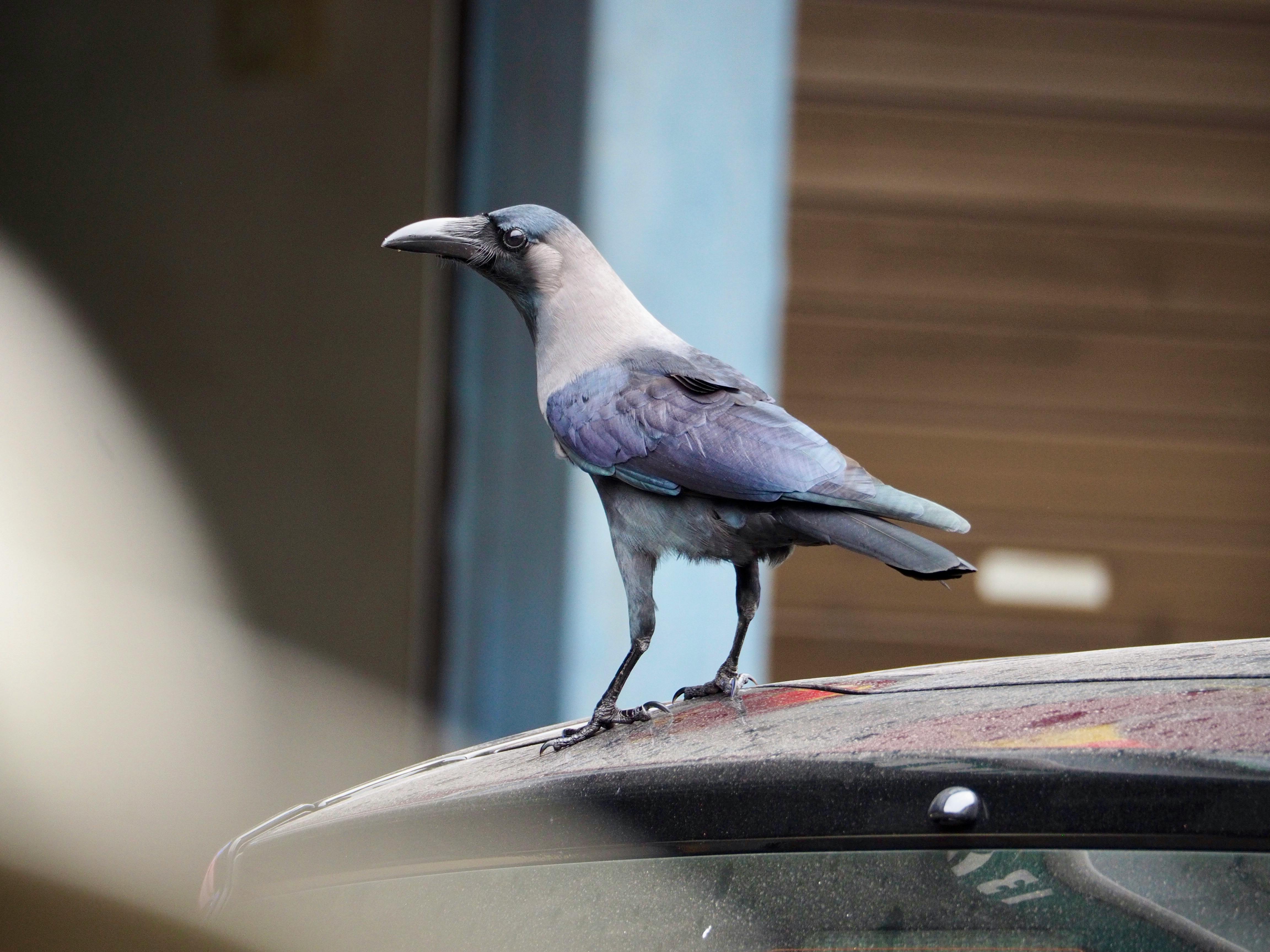 Grey+Eberly+Naked Photos, Download The BEST Free Grey+Eberly+Naked