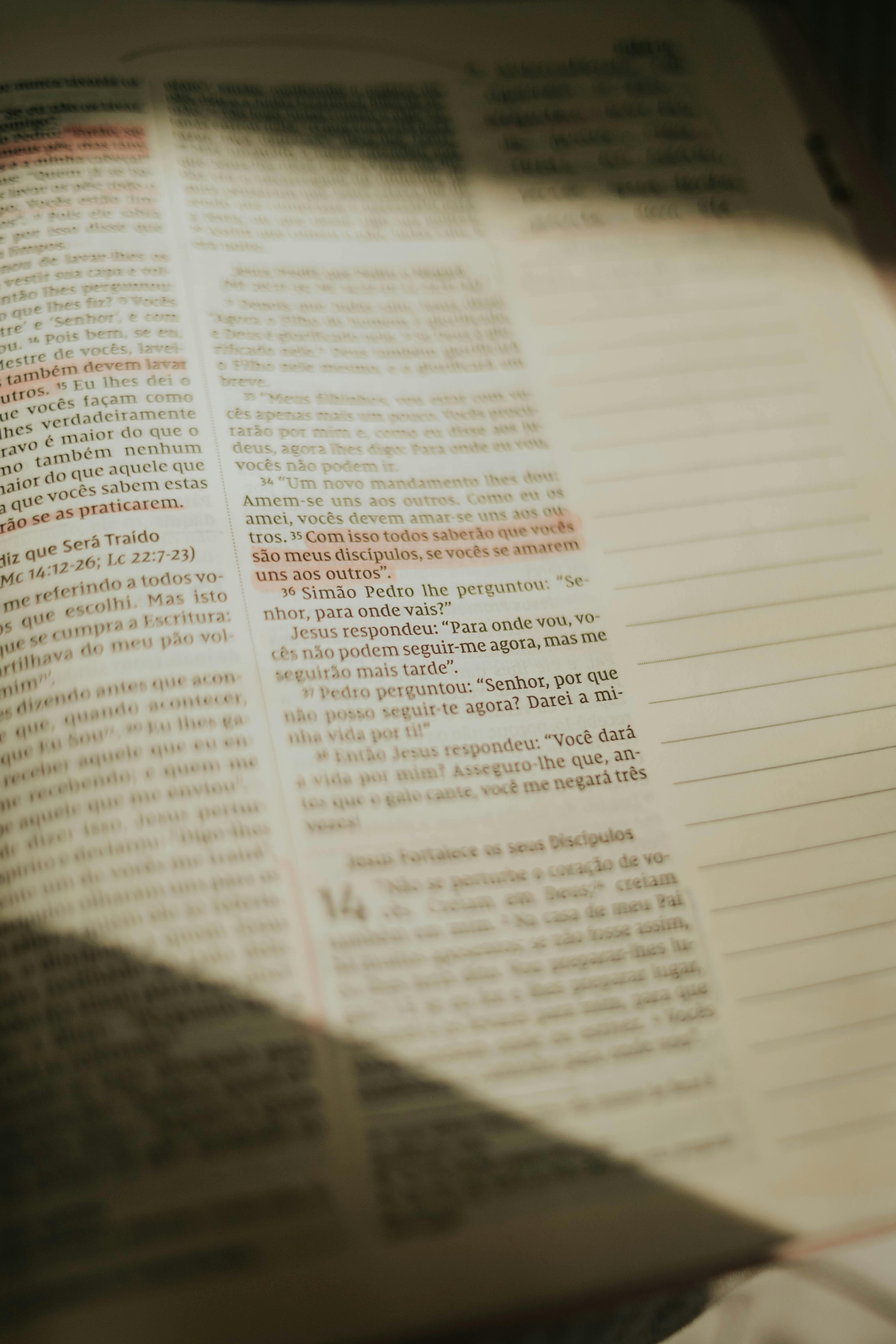 Bible Basics   Students Guide