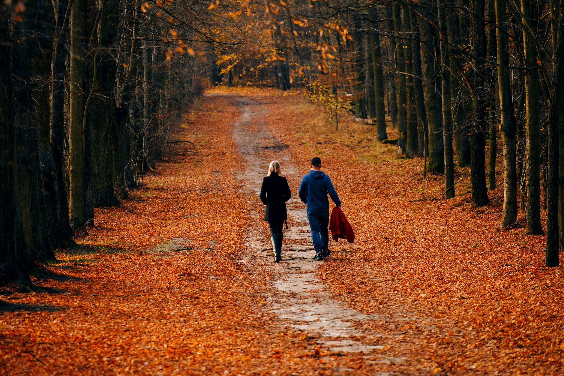 Der Wochenendspaziergang