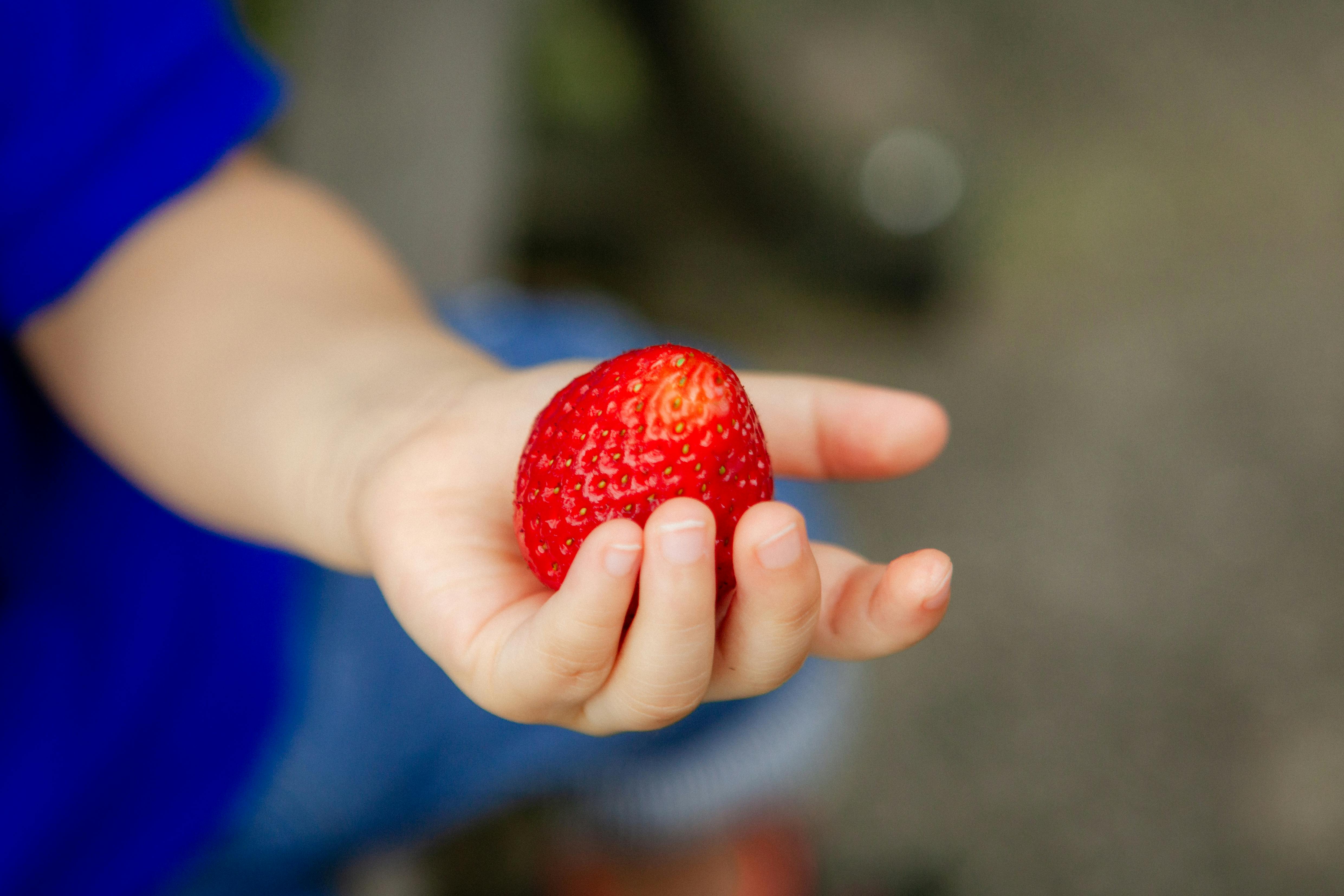 生活：展現臺東農村風貌 「慢村臺東。山海日常」活動正式啟動