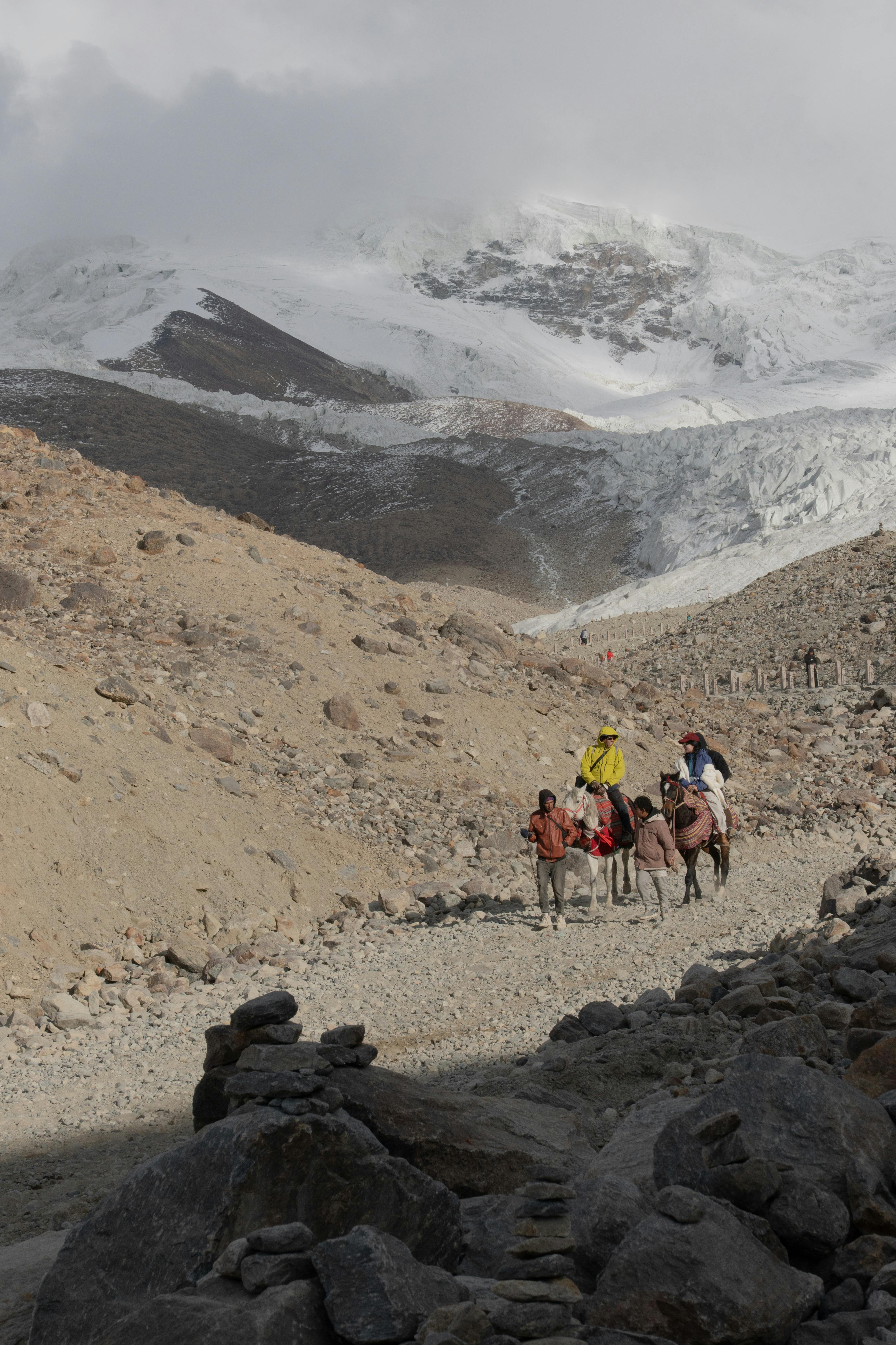 People trekking on camels in a mountainous landscape with snowy peaks in the background.