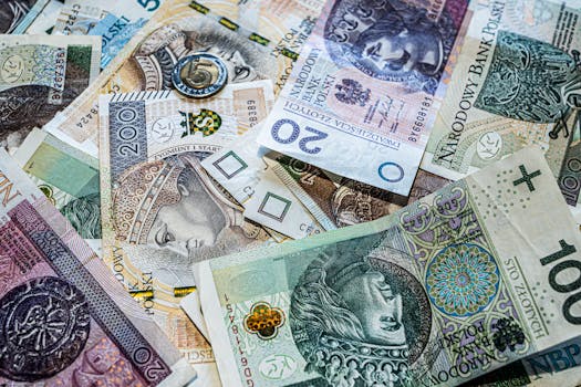 Photo by SHOX art Hawaii Grapples with Rising Demand for Aid Amidst Federal Shutdown Impact