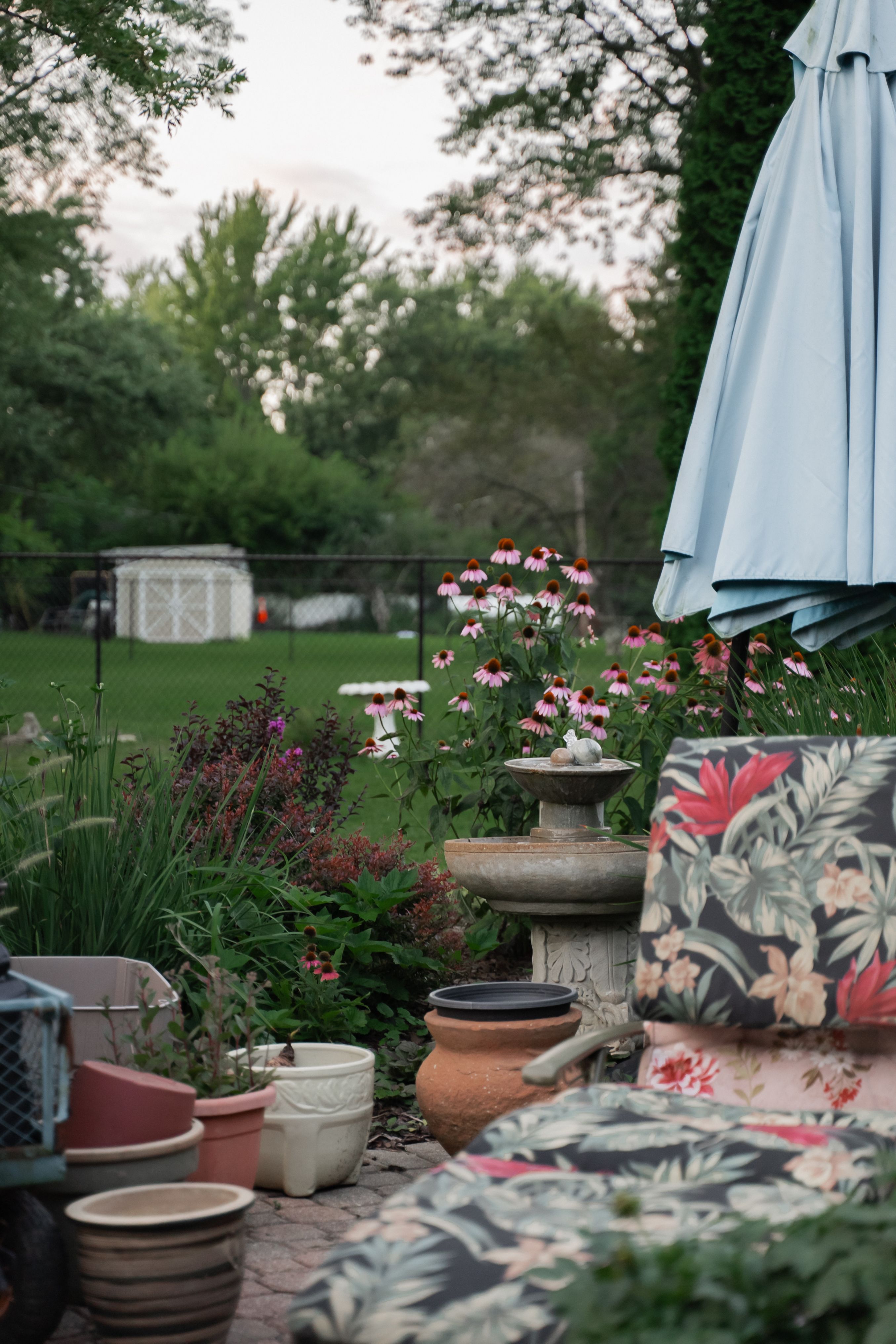 Backyard patio with blooming plants