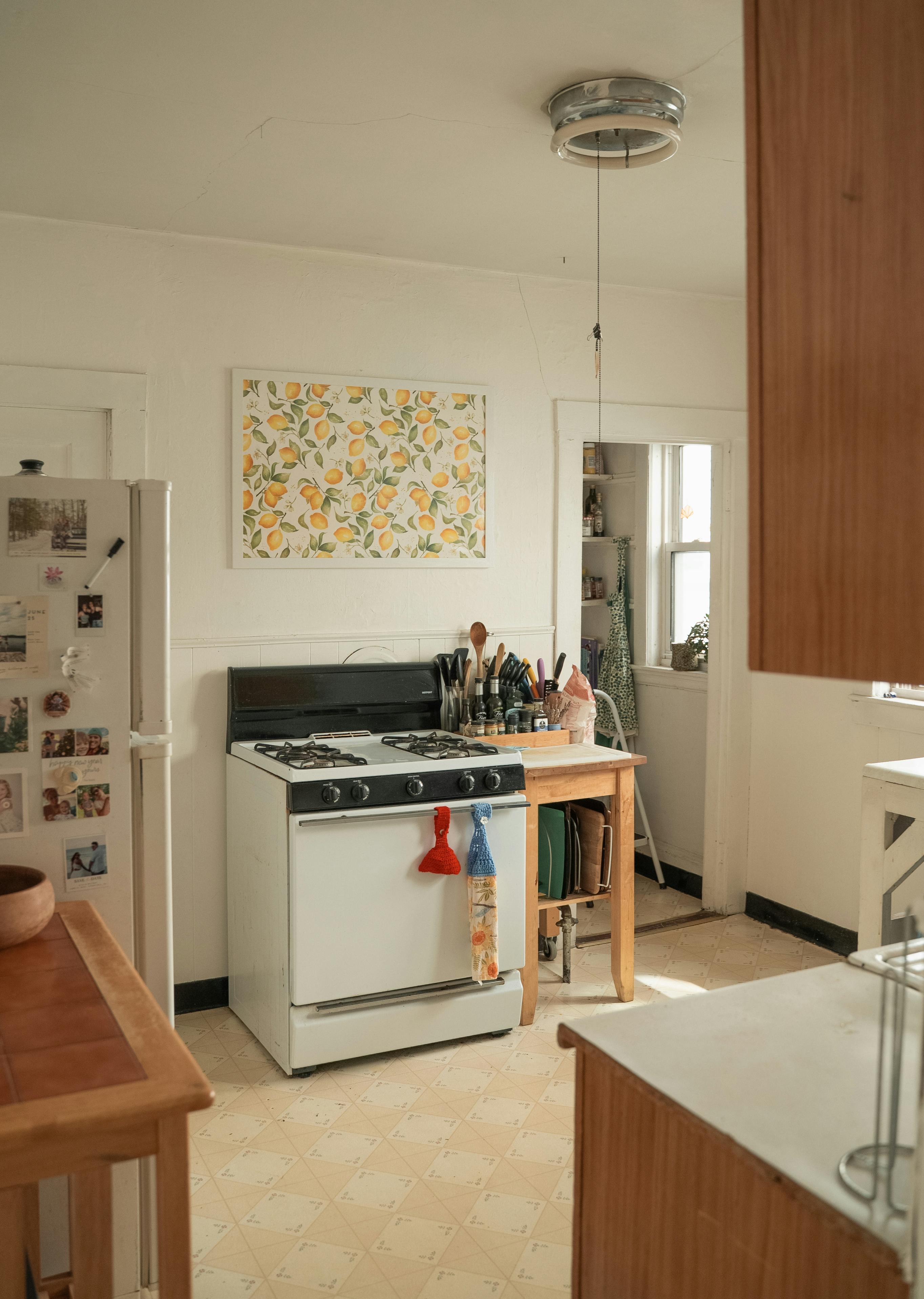 powerful‍ Performance and ‌Versatile Features of the Cuisinart CSB-179