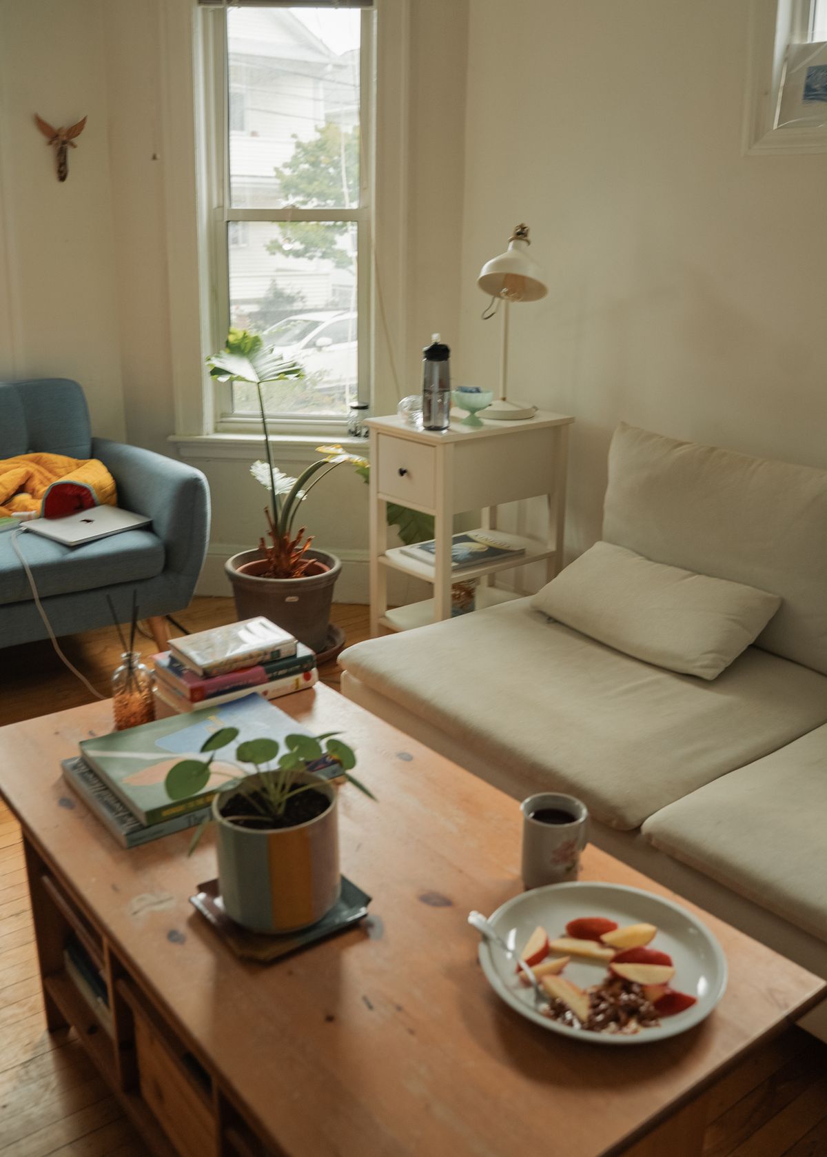 Sala com sofá, plantas e materiais naturais mostrando biofilia doméstica com verde e luz natural