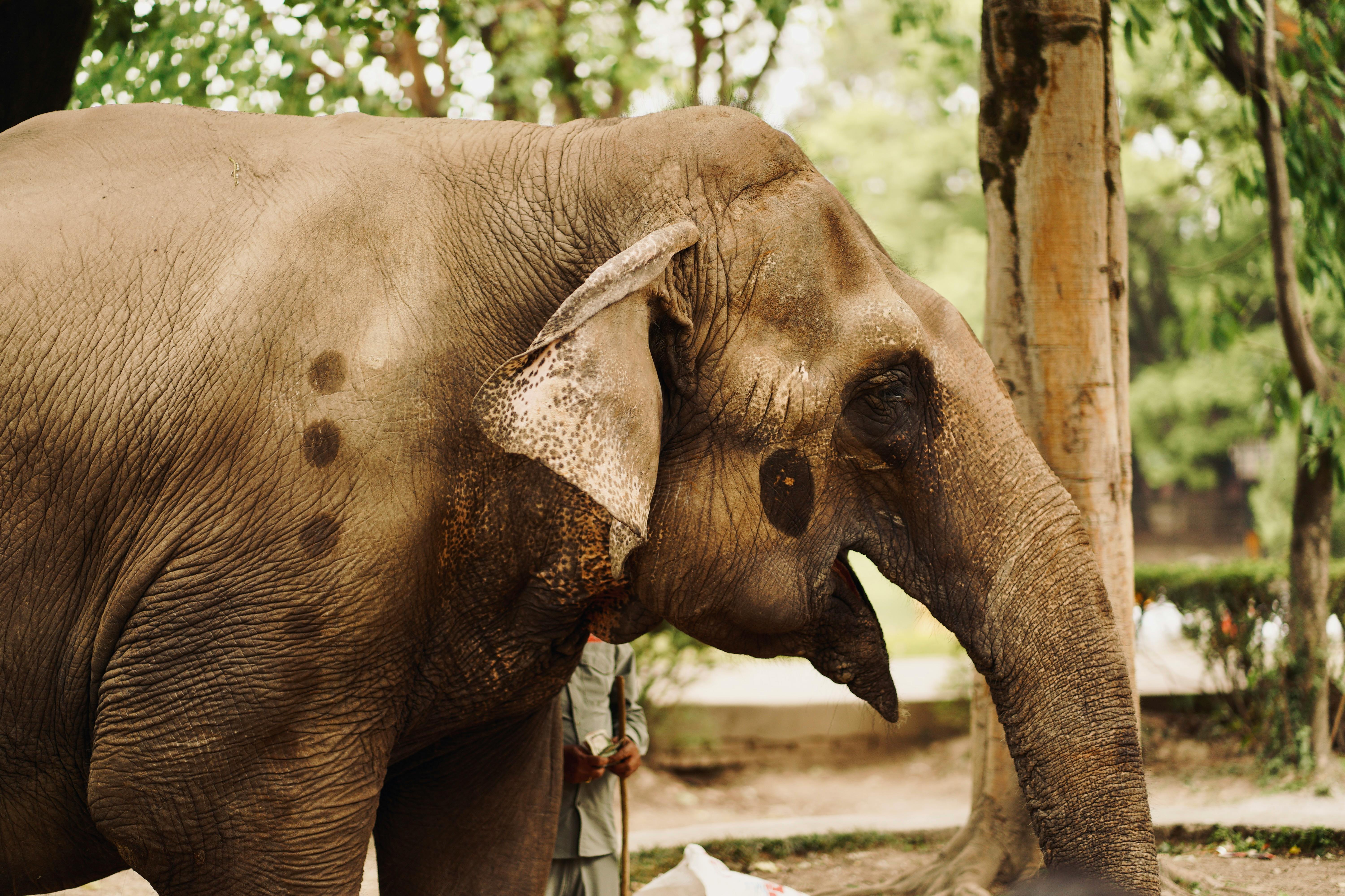 生活：揭秘《老友記》偶像年輕時光，珍貴照片首次公開