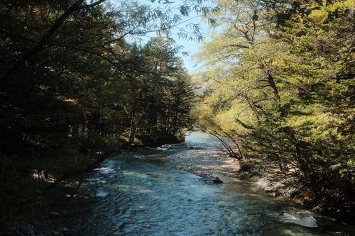 Free Peaceful river flowing through lush forest in Matsumoto, Nagano, Japan. Stock Photo