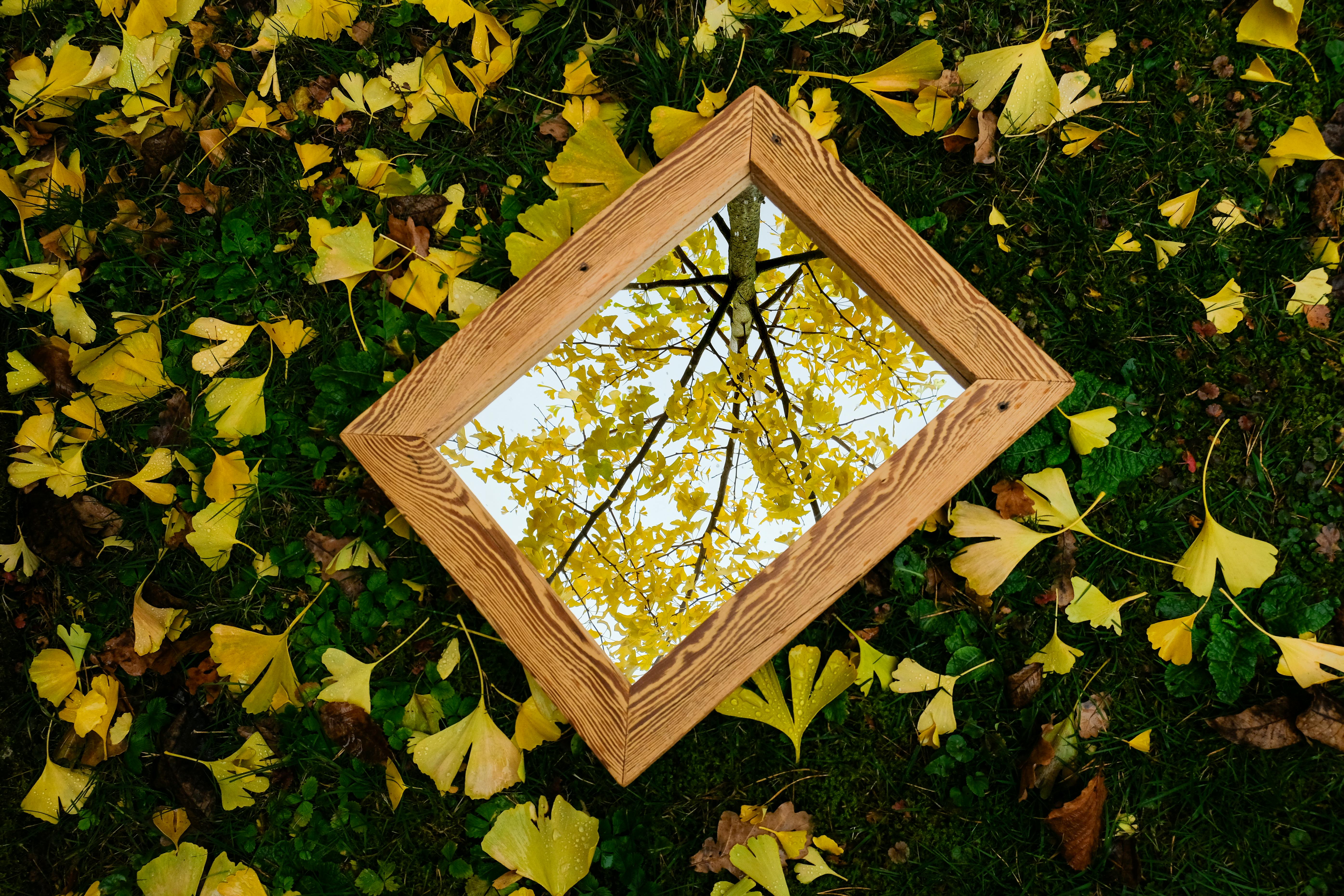 How to Build a Wooden Mirror Frame: A Step-by-Step Guide for Your Bathroom DIY Project - woodworking guide